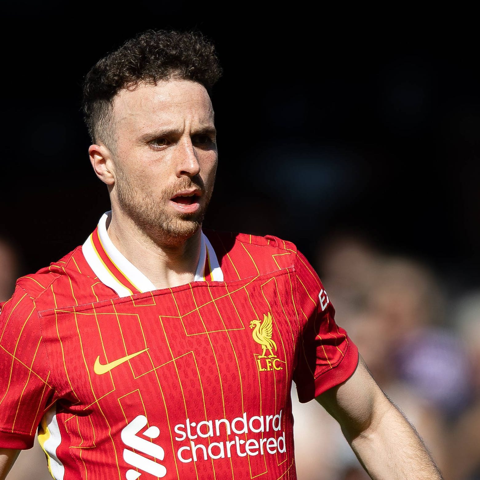 Diogo Jota: Der Angreifer gewann zuletzt zahlreiche Titel.