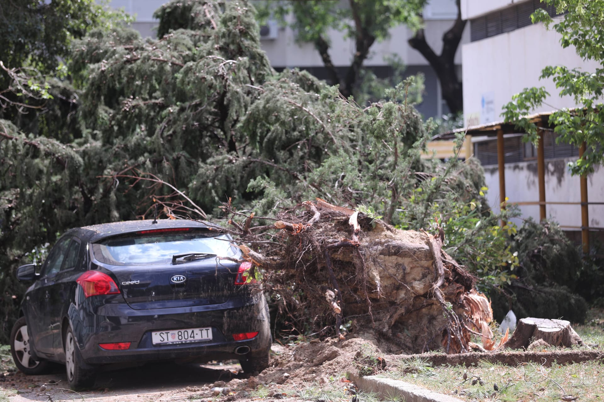 Ein entwurzelter Baum nach dem Sturm in der kroatischen Urlaubsstadt Split: Insgesamt 24 Menschen wurden verletzt.
