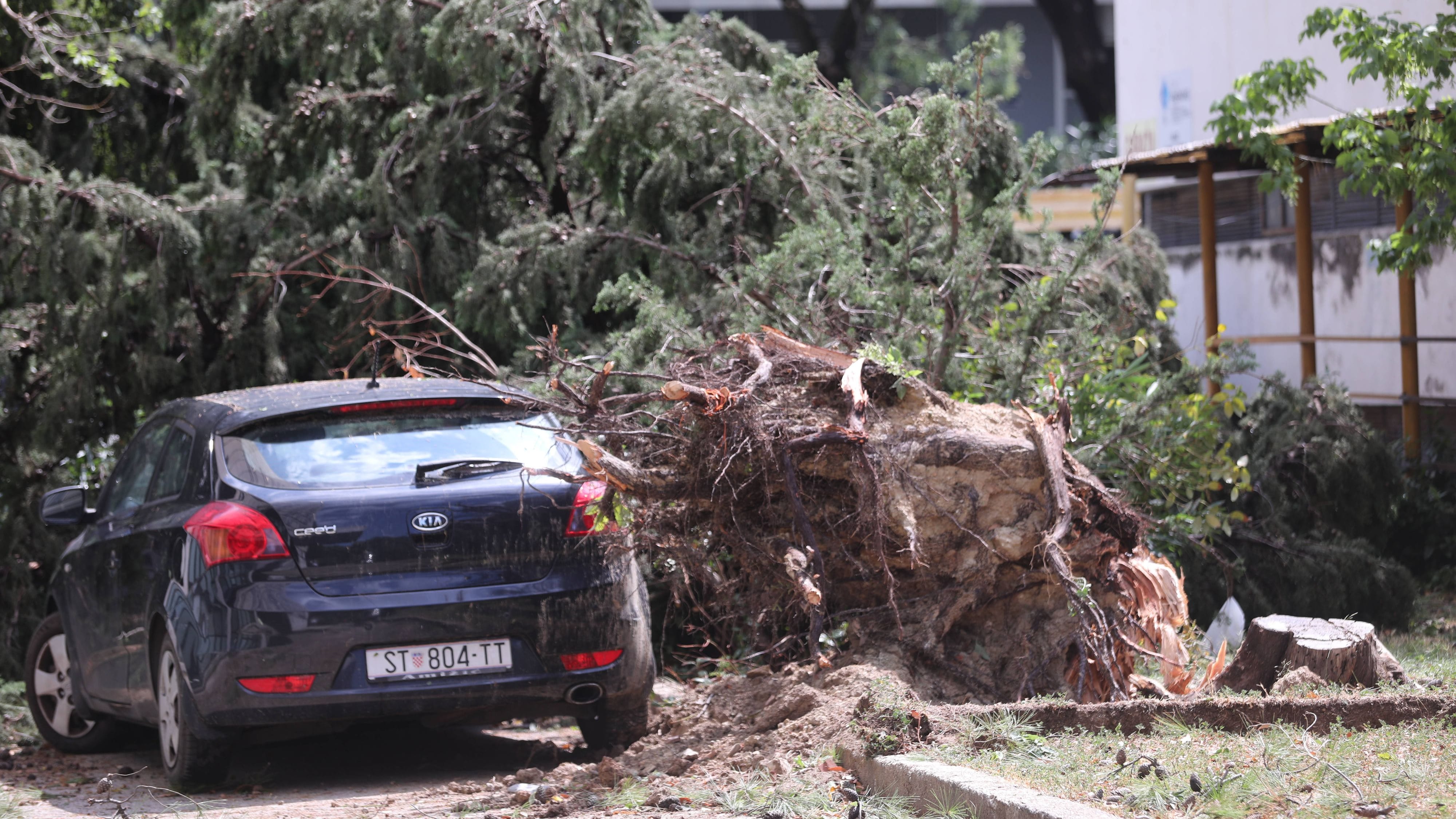 Ein entwurzelter Baum nach dem Sturm in der kroatischen Urlaubsstadt Split: Insgesamt 24 Menschen wurden verletzt.