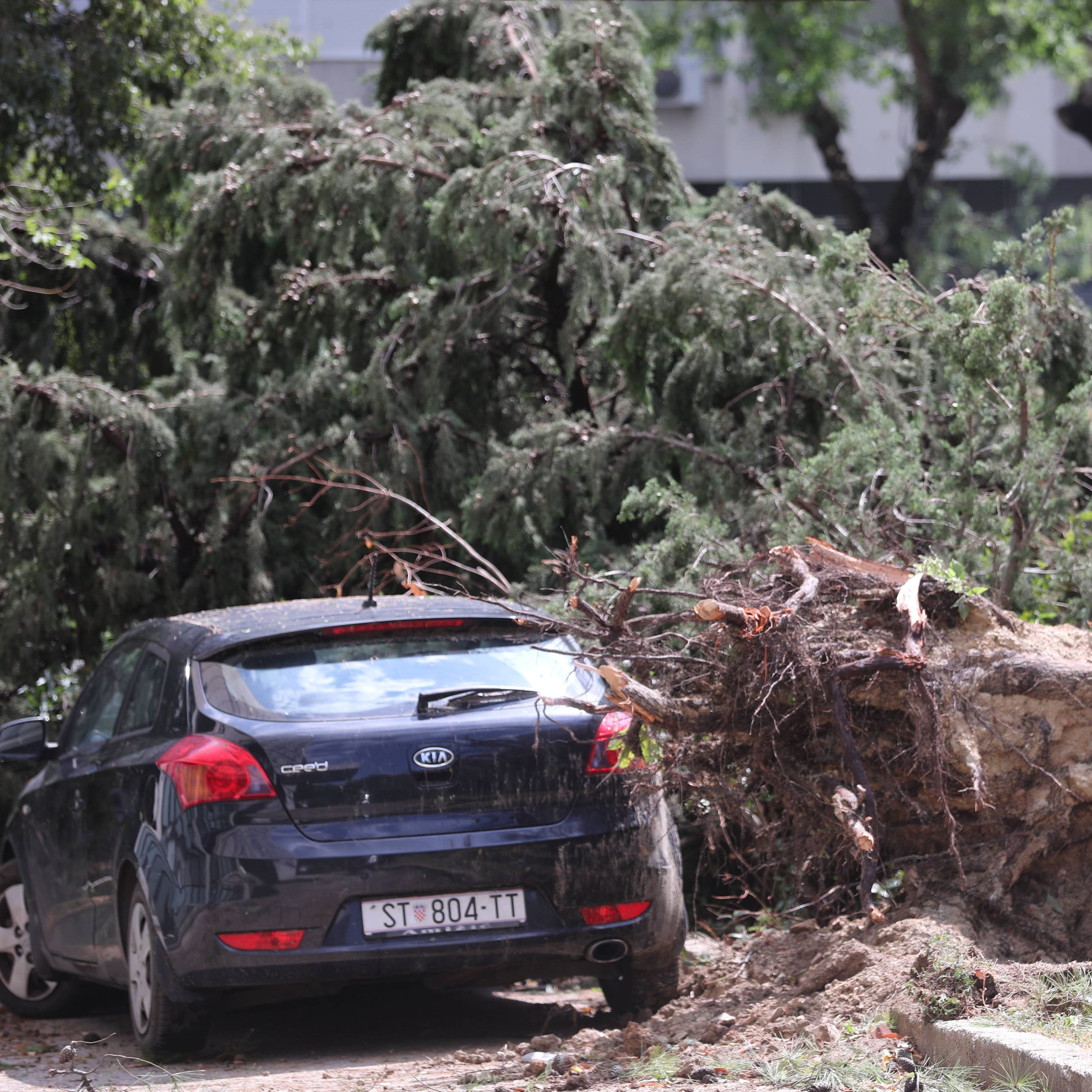 Ein entwurzelter Baum nach dem Sturm in der kroatischen Urlaubsstadt Split: Insgesamt 24 Menschen wurden verletzt.