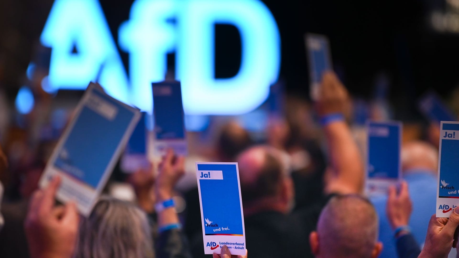 AfD