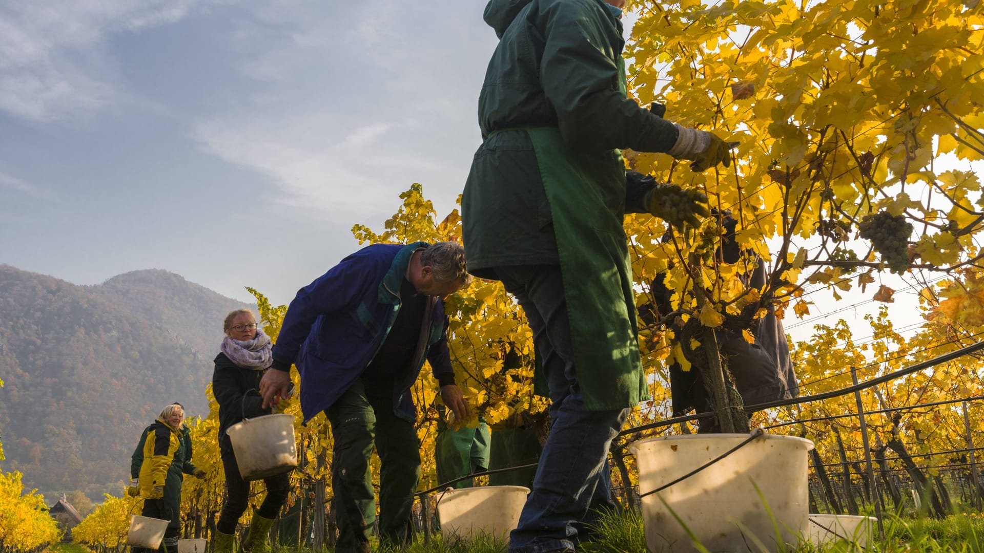 imago 90510647 imago 90510647