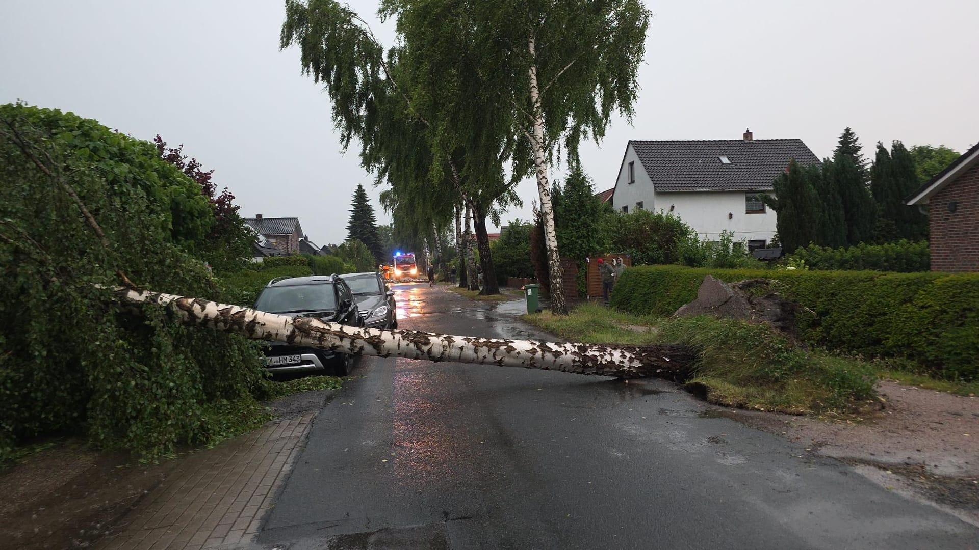 Wie Mikadostäbe sind am Abend zahlreiche Bäume in Oldenburg umgestürzt. Besonders betroffen war die Straße Alexandersfeld.