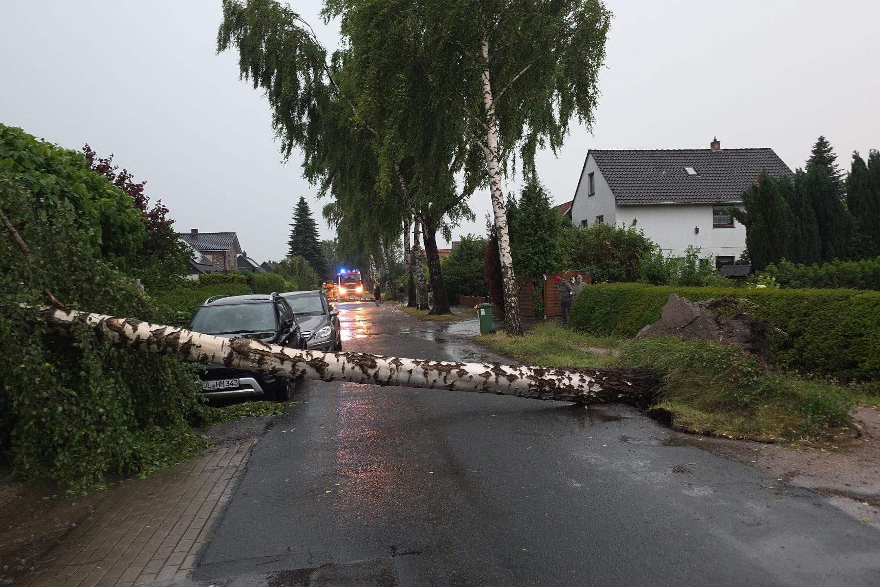 Wie Mikadostäbe sind am Abend zahlreiche Bäume in Oldenburg umgestürzt. Besonders betroffen war die Straße Alexandersfeld.