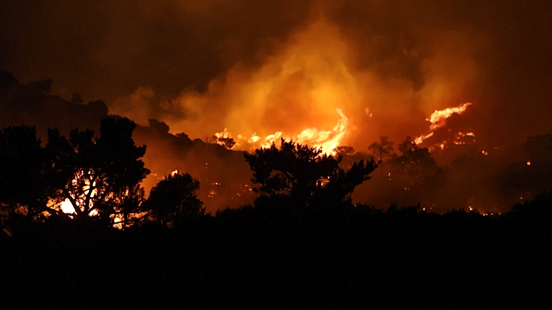 Waldbrände wüten auf der griechischen Urlaubsinsel Kreta
