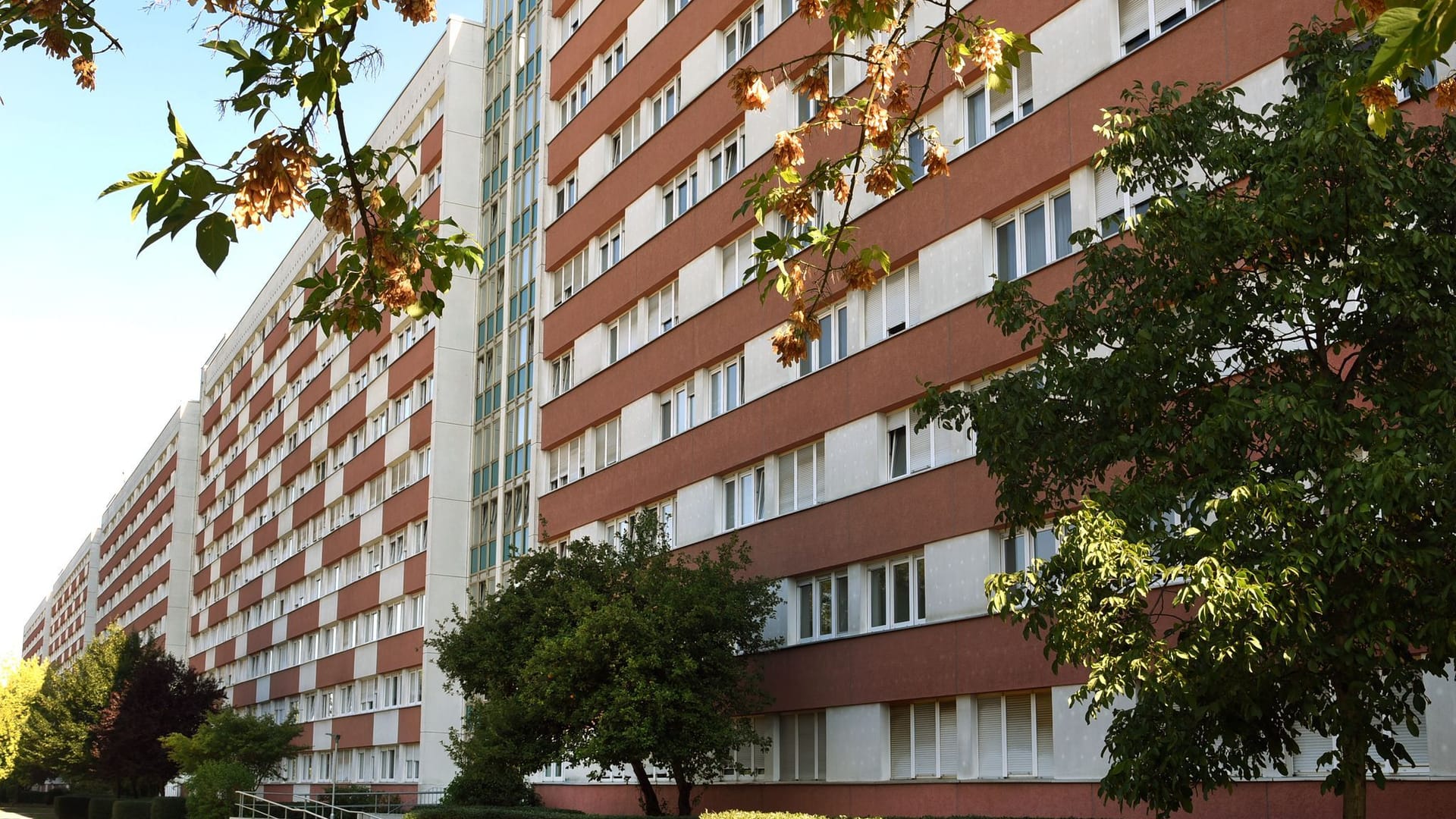 335 Meter Plattenbau "Lange Lene" 335 Meter Plattenbau "Lange Lene"