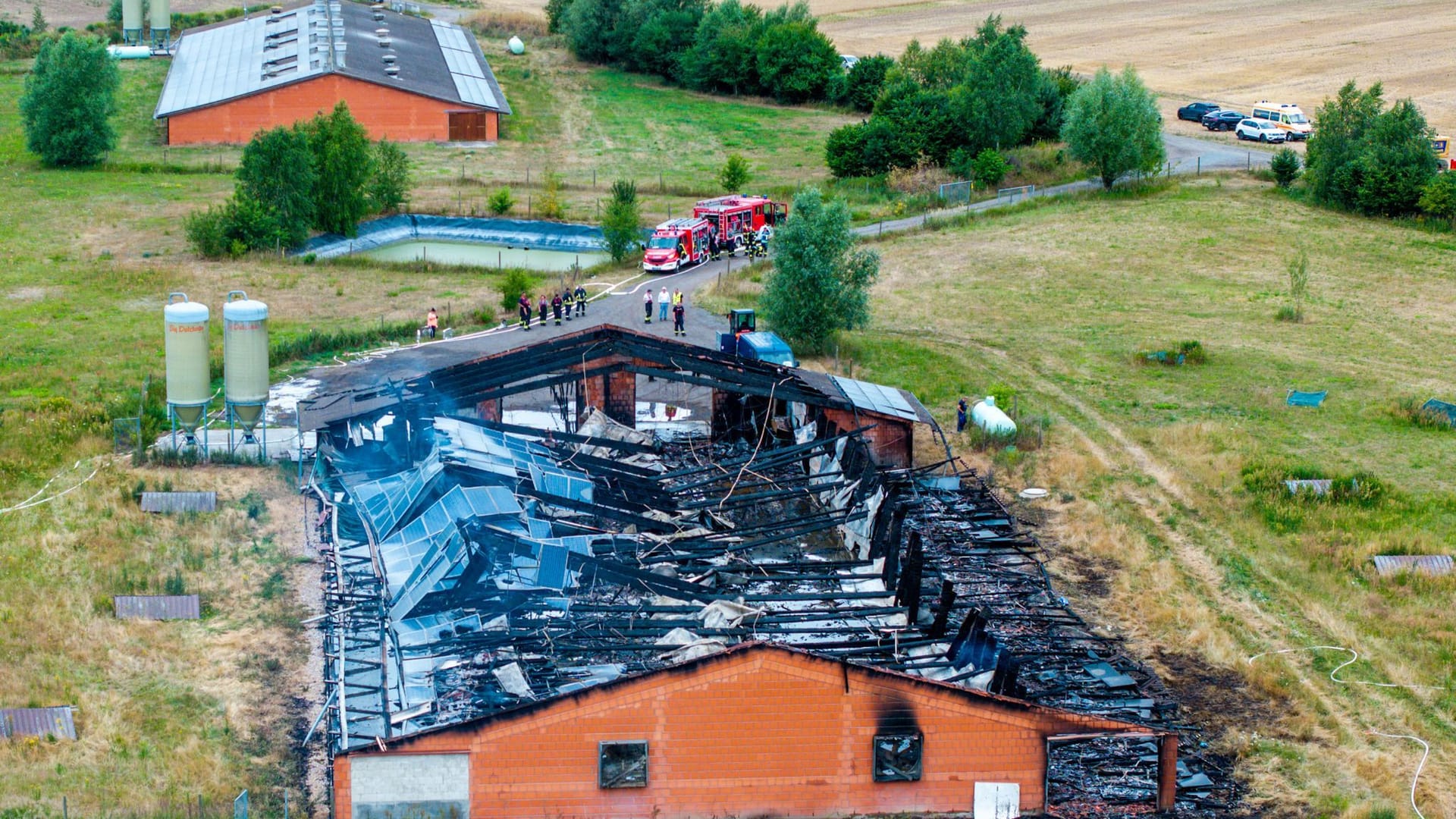 Nach einem Brand im Hühnerstall