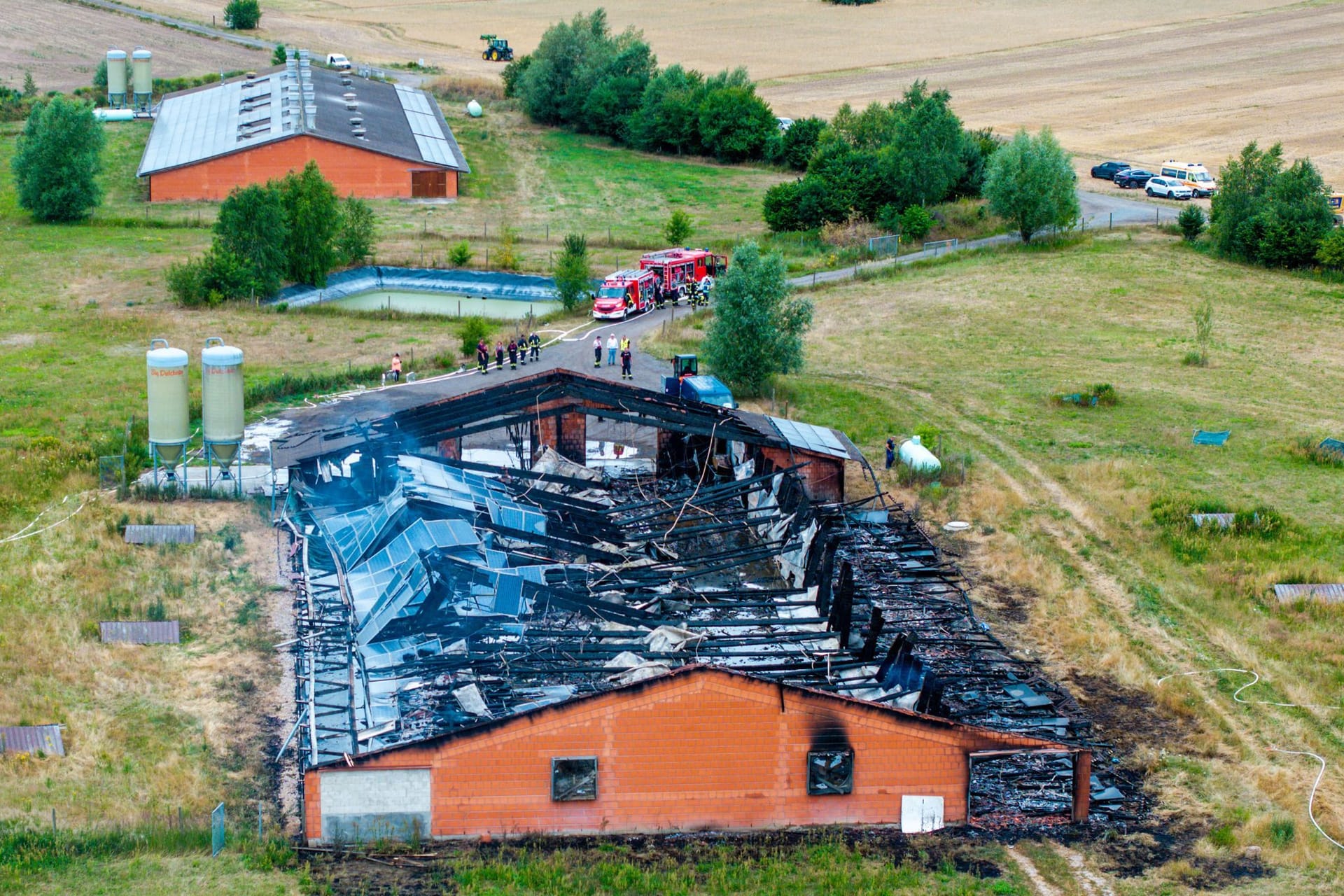 Nach einem Brand im Hühnerstall