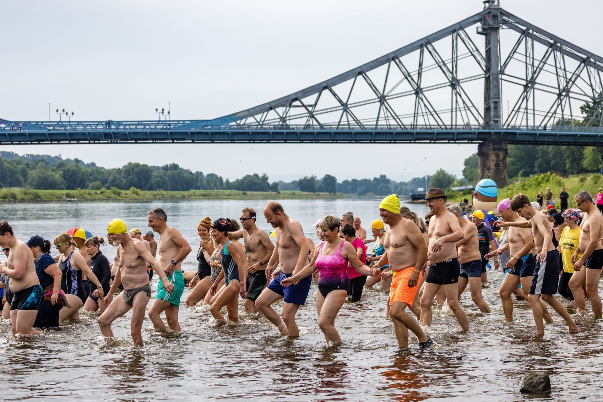 Elbeschwimmen in Dresden