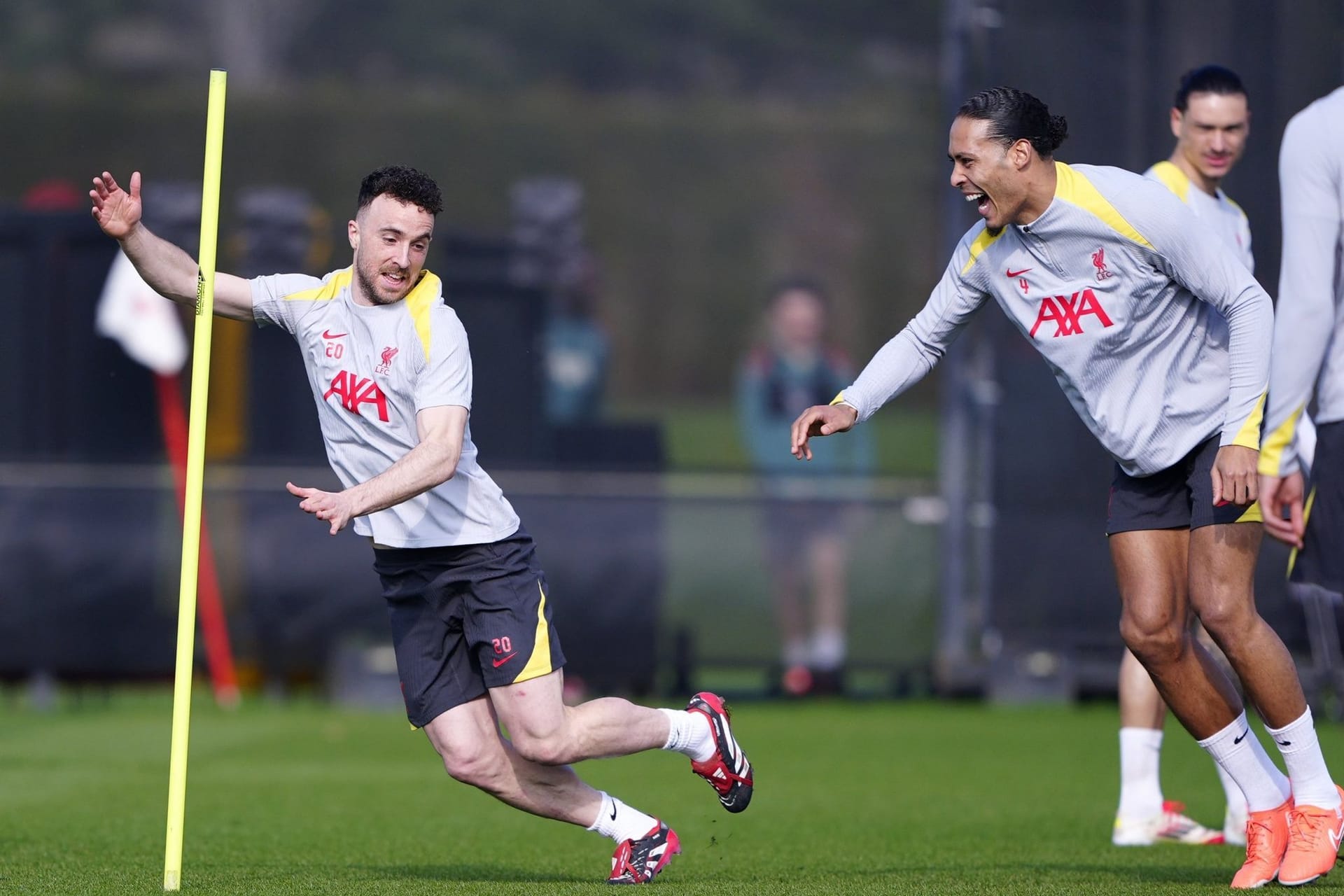 Diogo Jota und Virgil van Dijk (r) Diogo Jota und Virgil van Dijk (r)