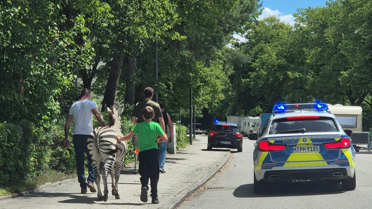 Pobegli zebri v Münchnu policiji povzročili preglavice