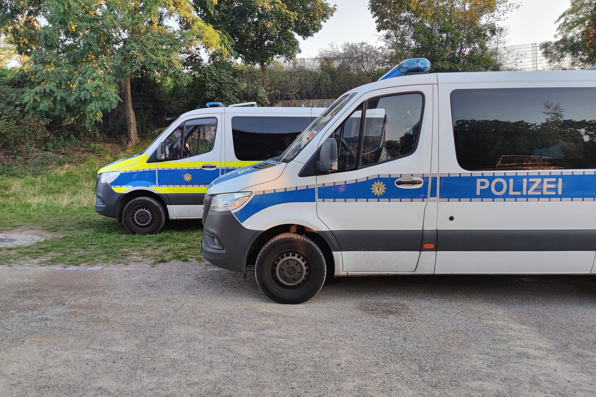 Berliner Polizeiwagen vor einem Park (Symbolbild): Der Angriff soll in einer Grünanlage am Erkelenzdamm stattgefunden haben.