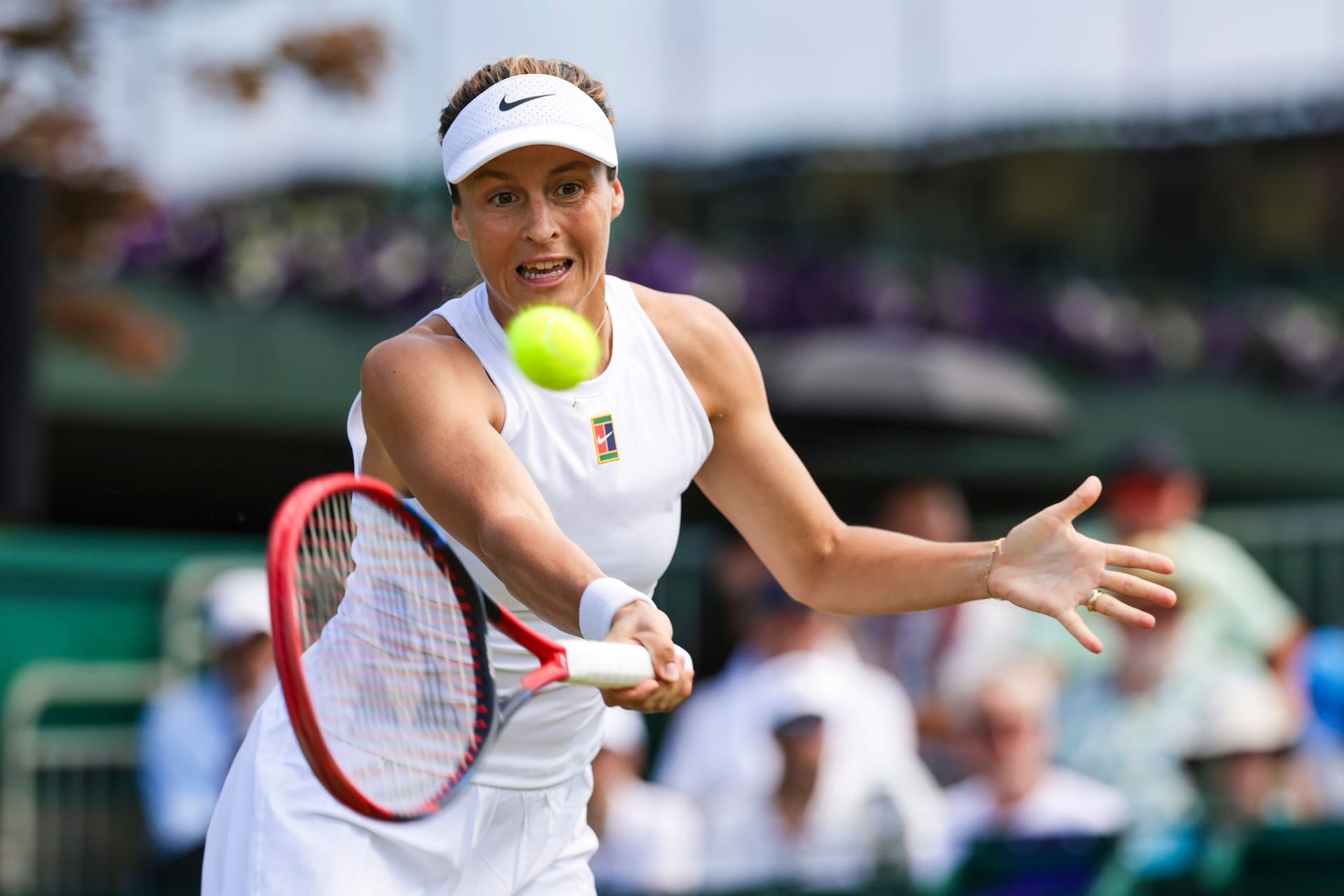 Tennis Wimbledon 2025