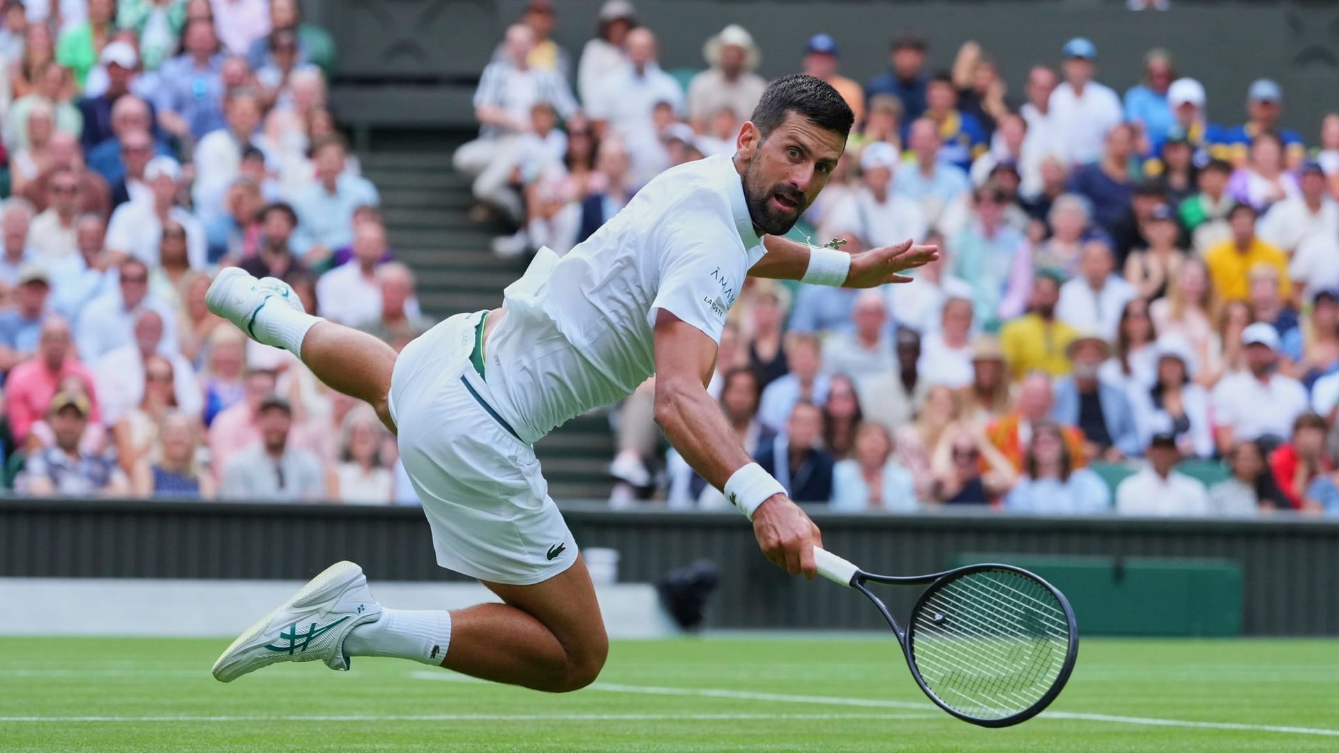 Wimbledon Tennis