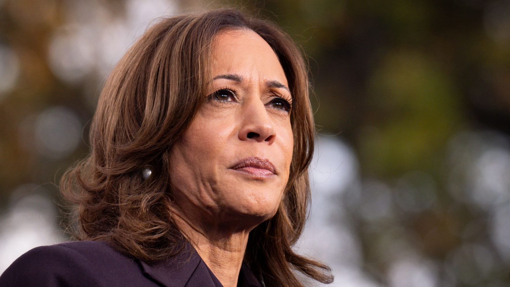 Election 2026 Governor Harris