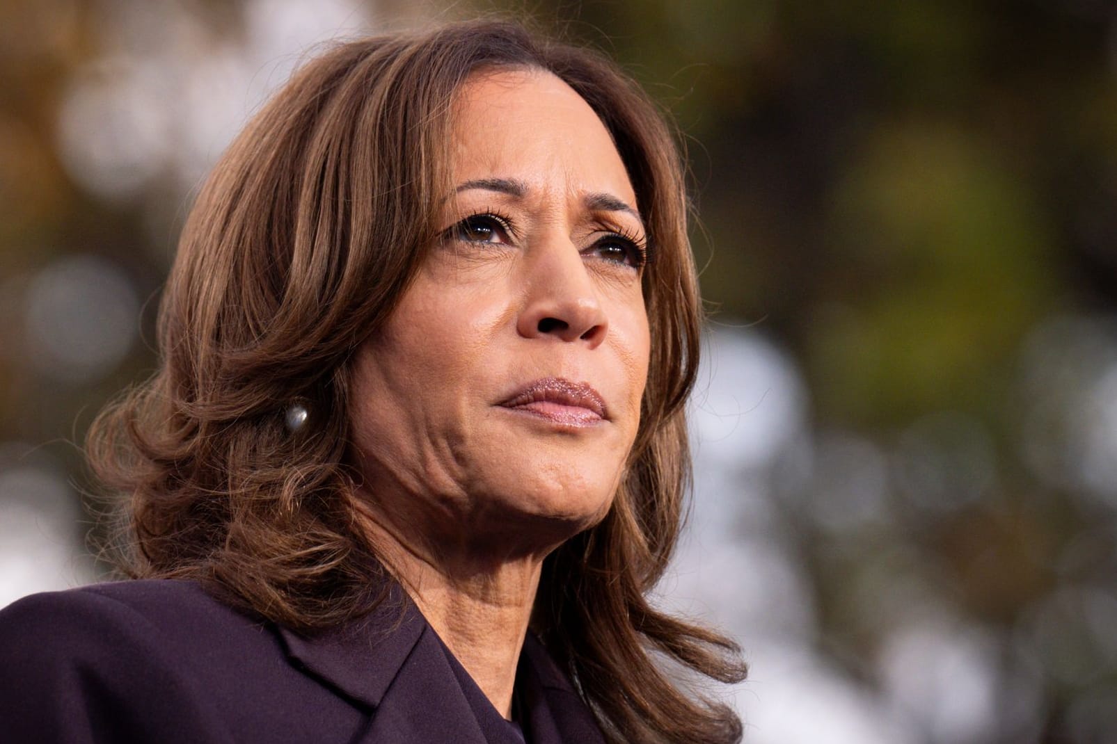 Election 2026 Governor Harris