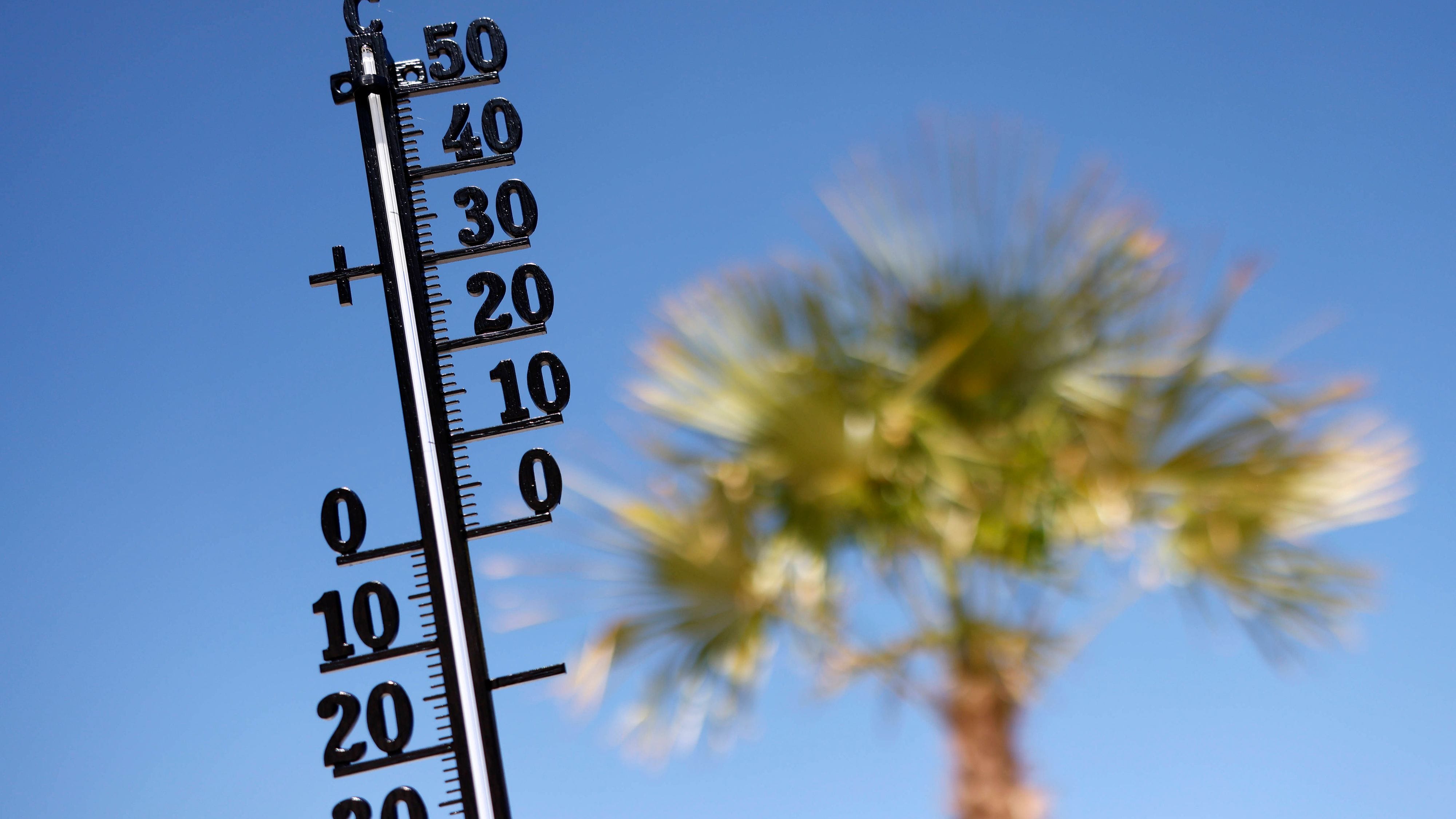 Ein Thermometer mit einer Palme im Hintergrund: Deutsche Hitzerekorde verblassen neben Death Valleys Glutofen.
