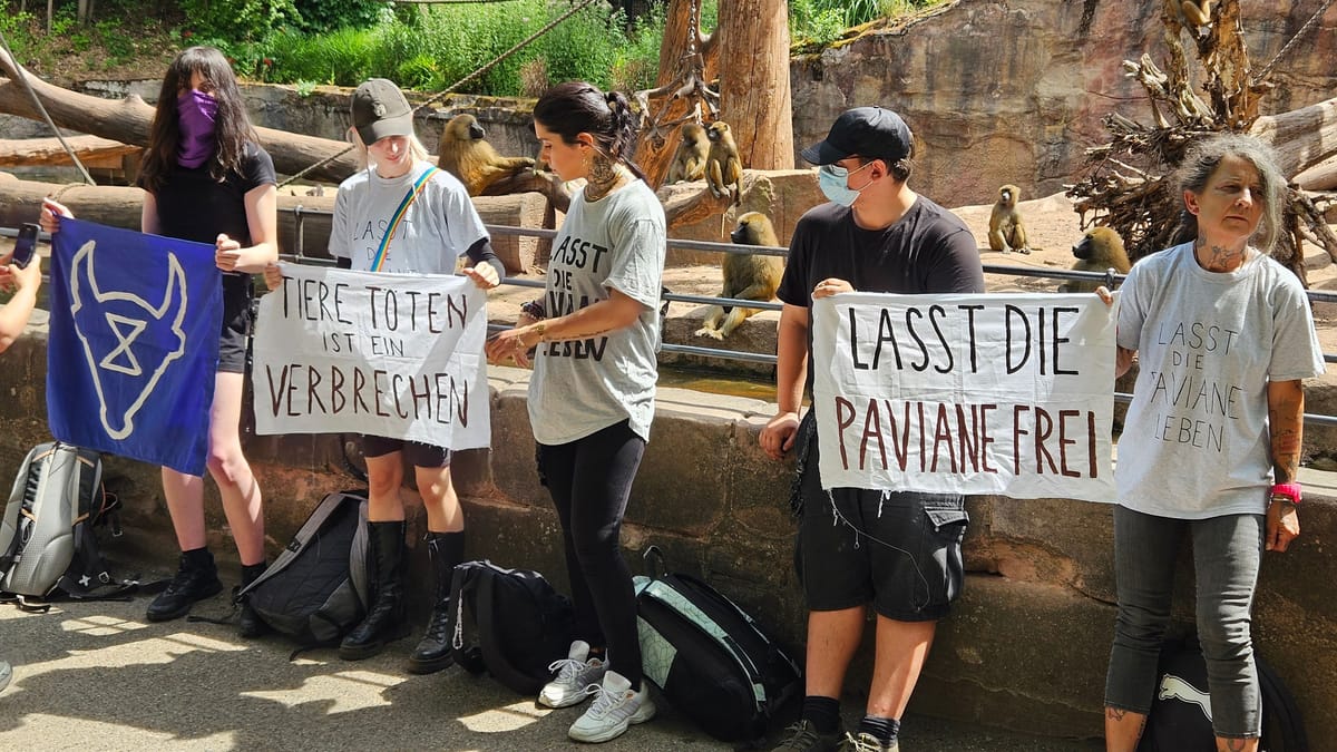 Aktivisti se priklenili na ogrado v Nürnberškem živalskem vrtu zaradi usmrtitve pavijanov