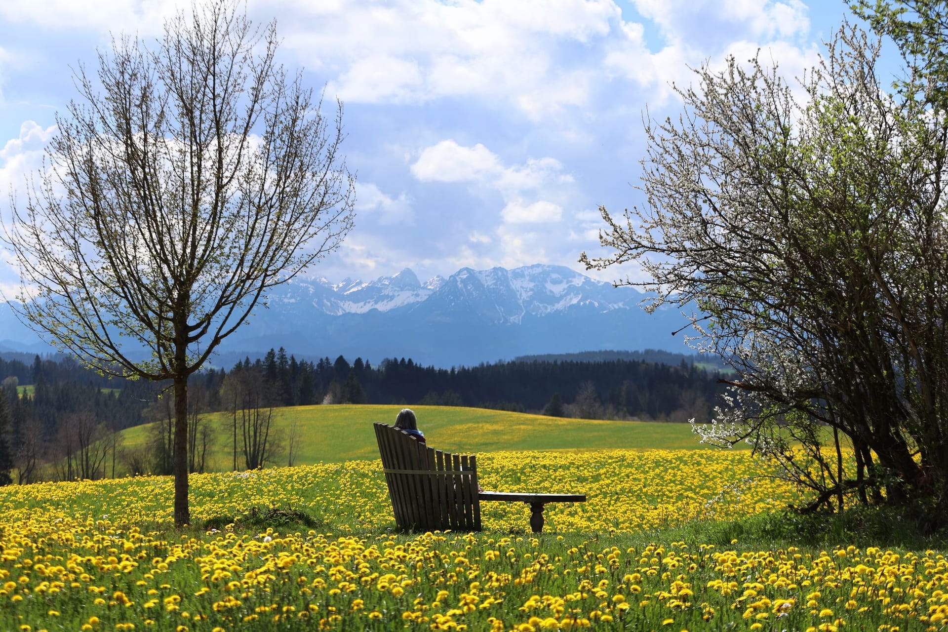 Wie heimatverbunden ist man in Bayern? Wie heimatverbunden ist man in Bayern?