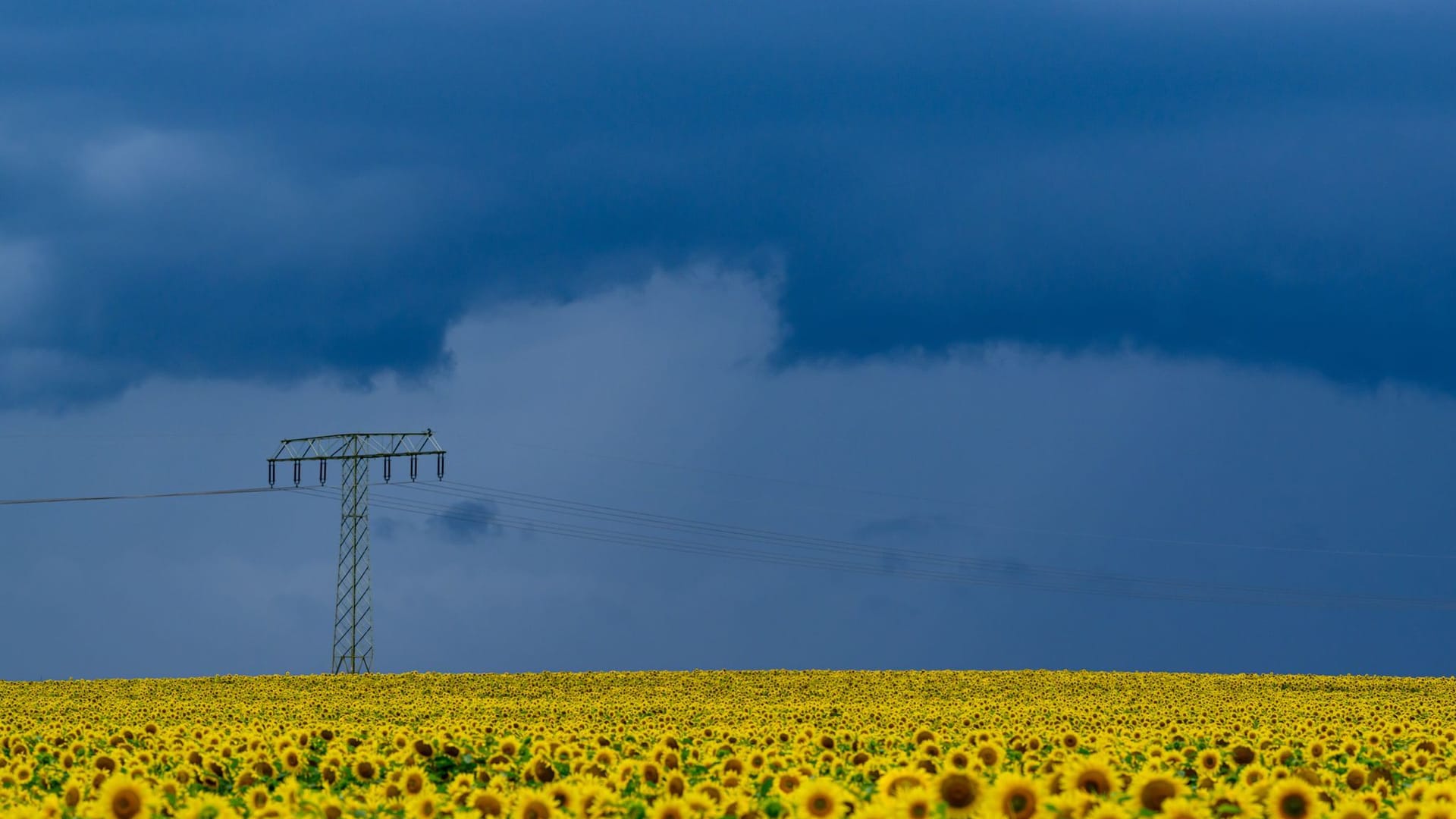 Wetter in Brandenburg