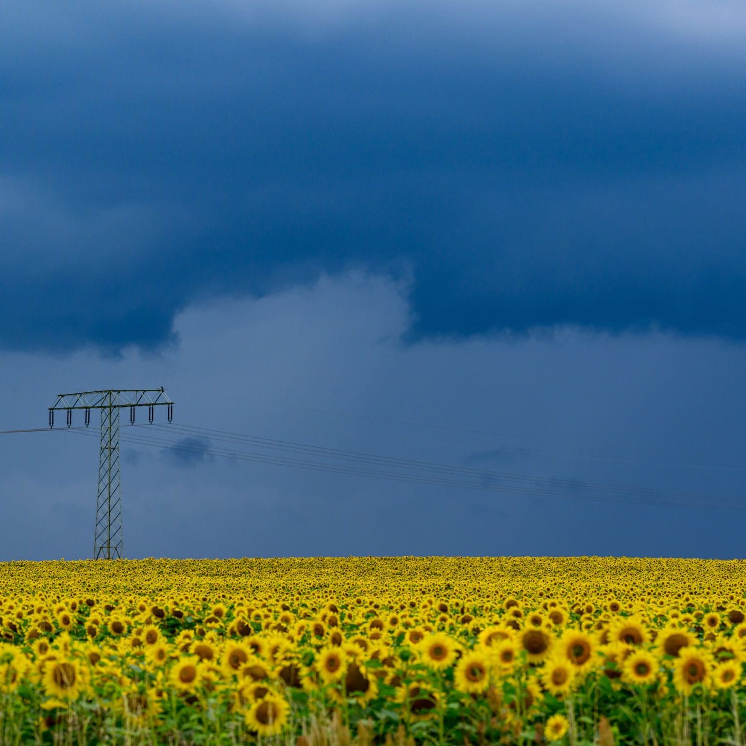 Wetter in Brandenburg