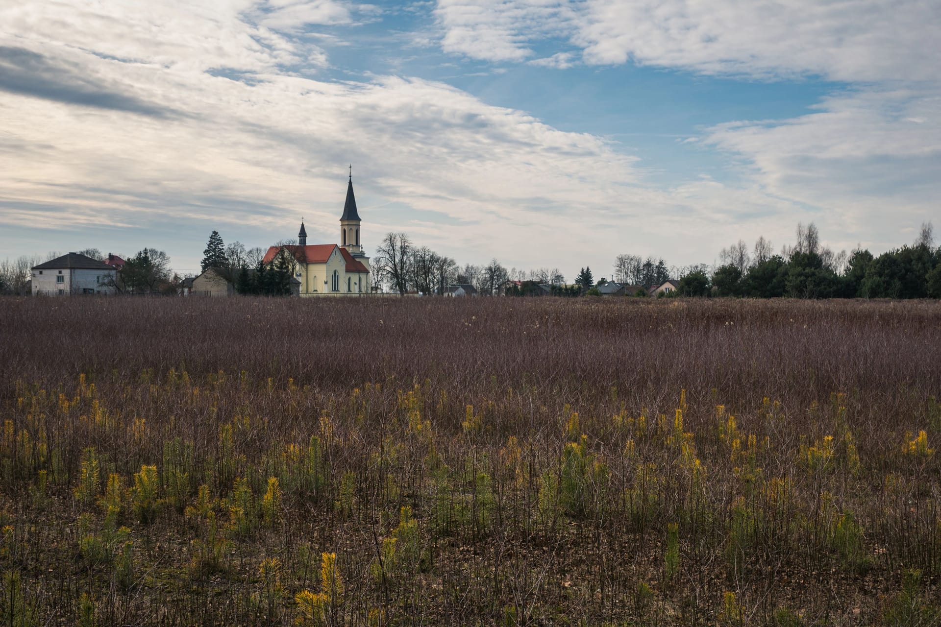 Church of the Nativity of the Blessed Virgin Mary in Pieczyska, Mazowieckie, Poland