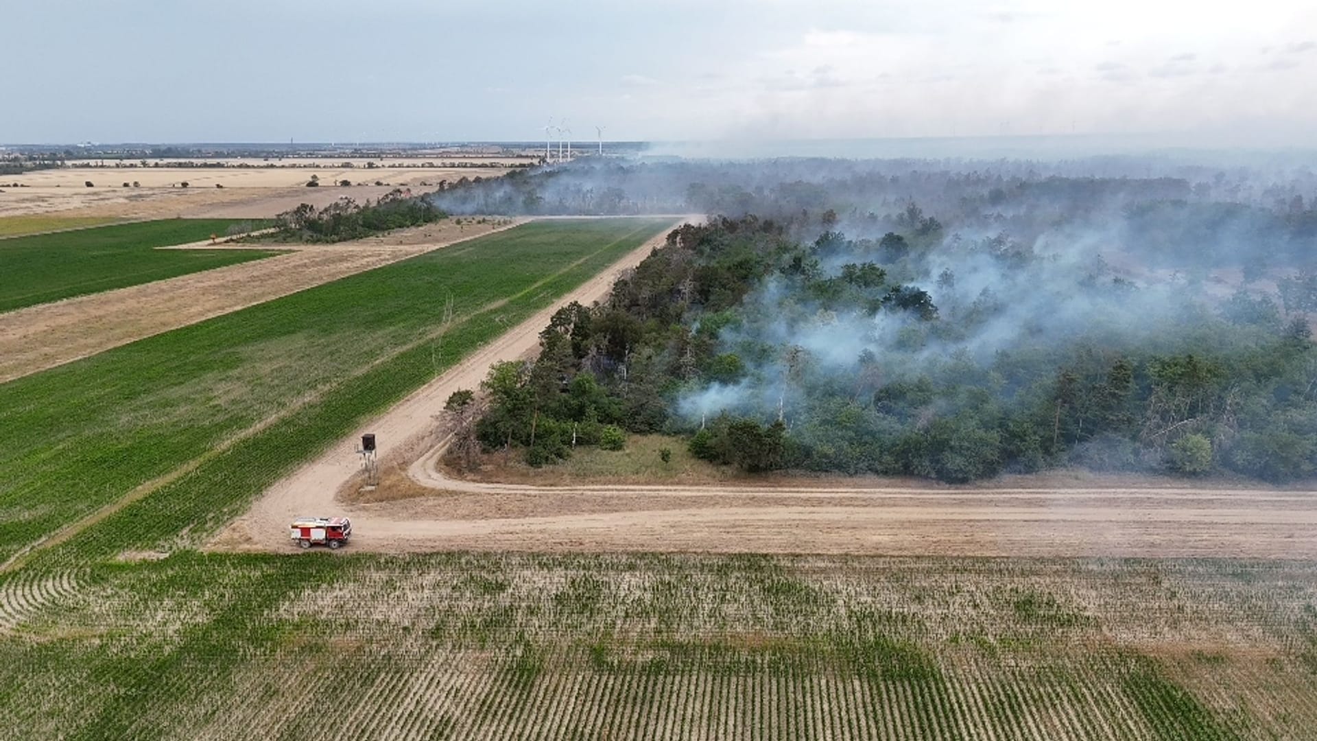 Rauch steigt in den Himmel auf bei einem Wald- und Vegetationsbrand in der Gohrischheide im Landkreis Meißen in der Nähe von dem sächsischen Ort Zeithain.