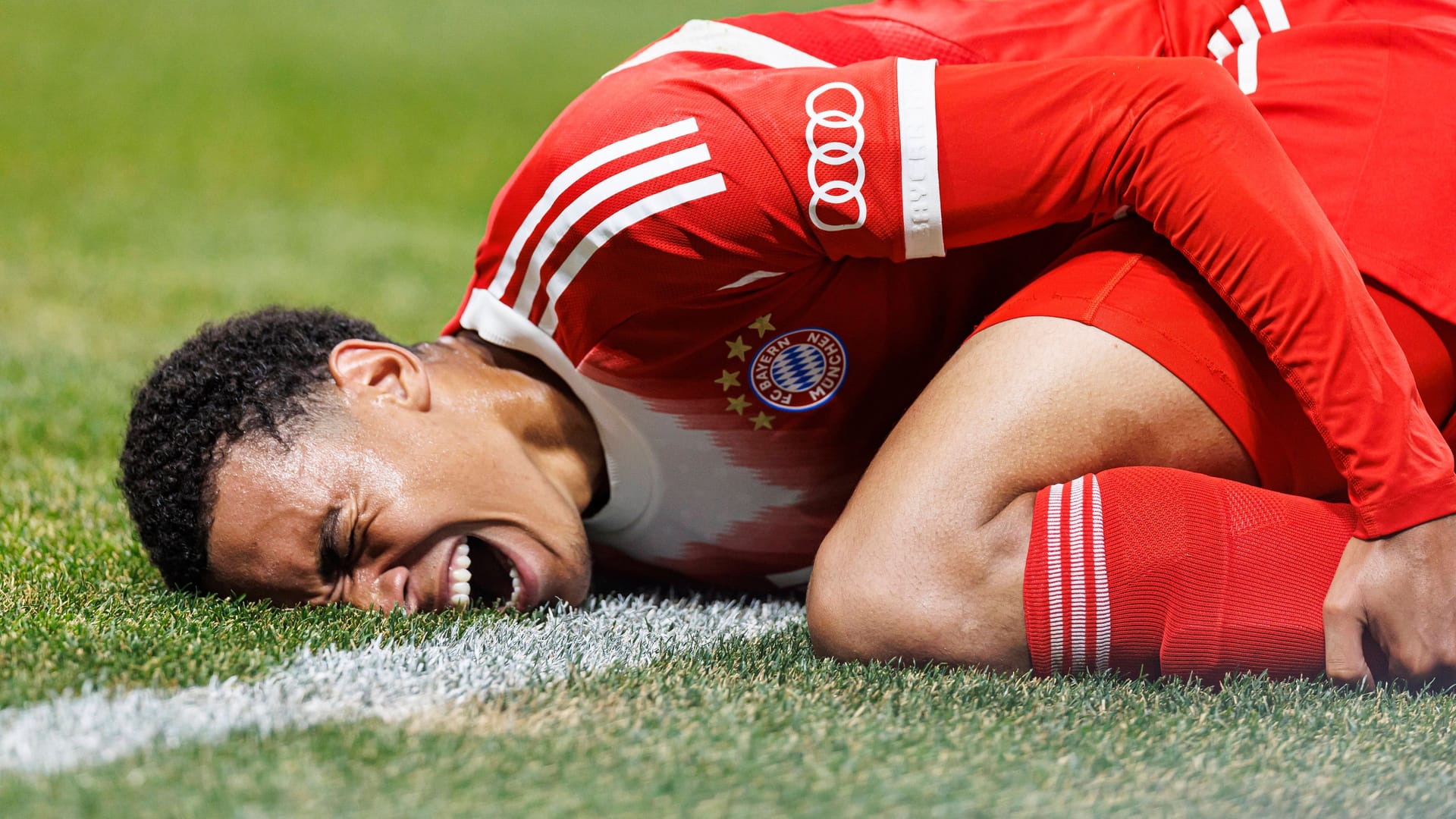 Jamal Musiala schreit seinen Schmerz in den Rasen Atlantas: Beim Nationalspieler wird eine schwere Beinverletzung vermutet.
