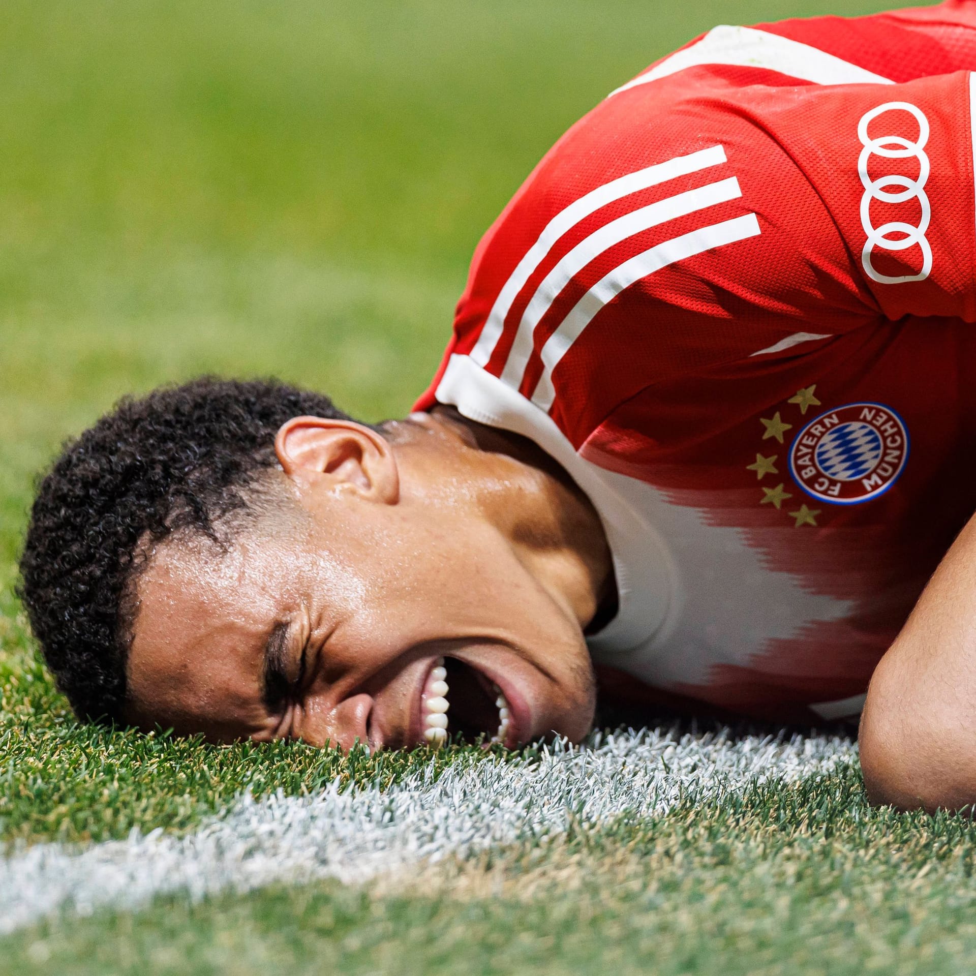 Jamal Musiala schreit seinen Schmerz in den Rasen Atlantas: Beim Nationalspieler wird eine schwere Beinverletzung vermutet.
