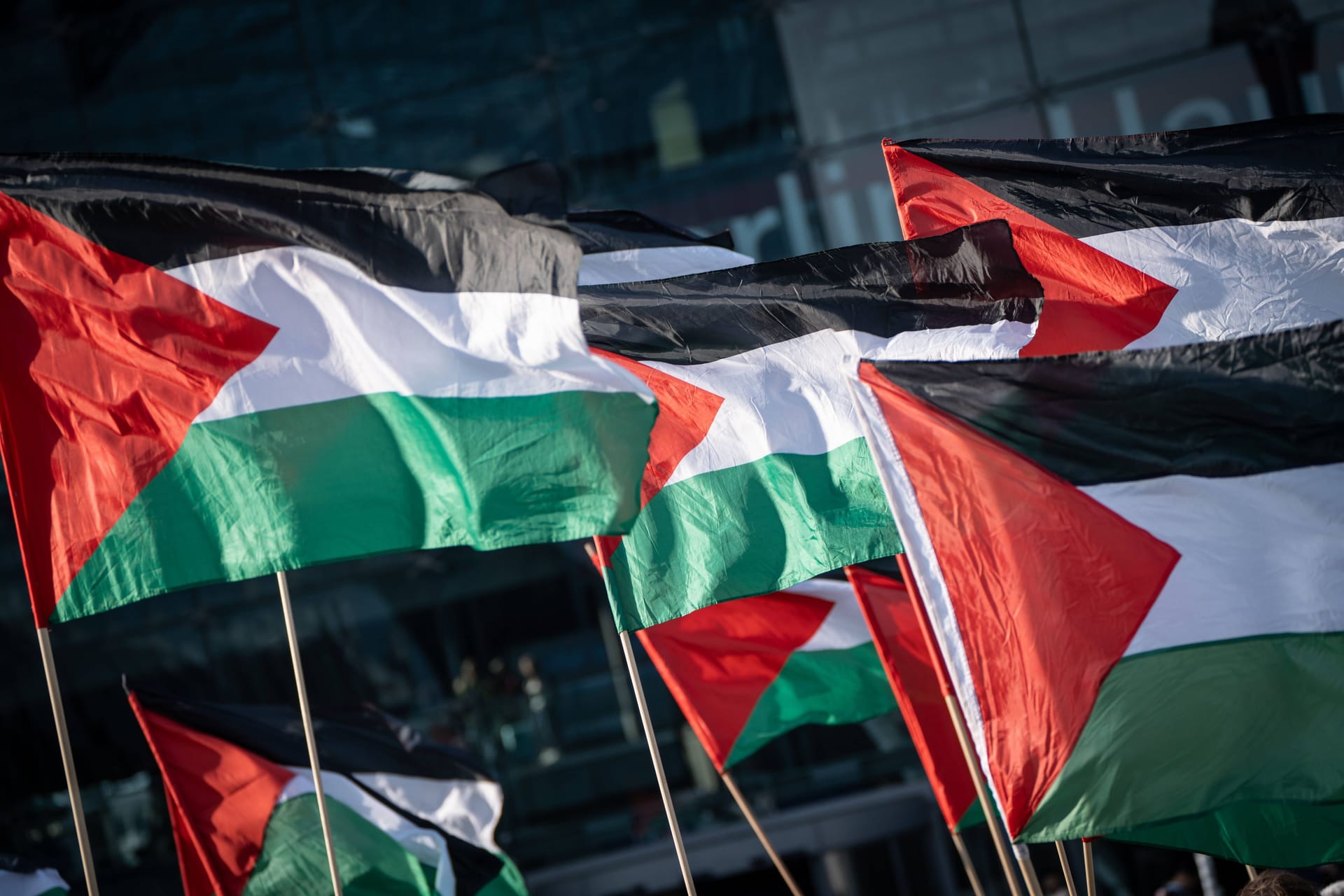 Anti-Israel- und Pro-Palästina-Demonstration mit Flaggen (Symbolbild): Die Aktivistin hatte die Parole auf Demos in Berlin gerufen.
