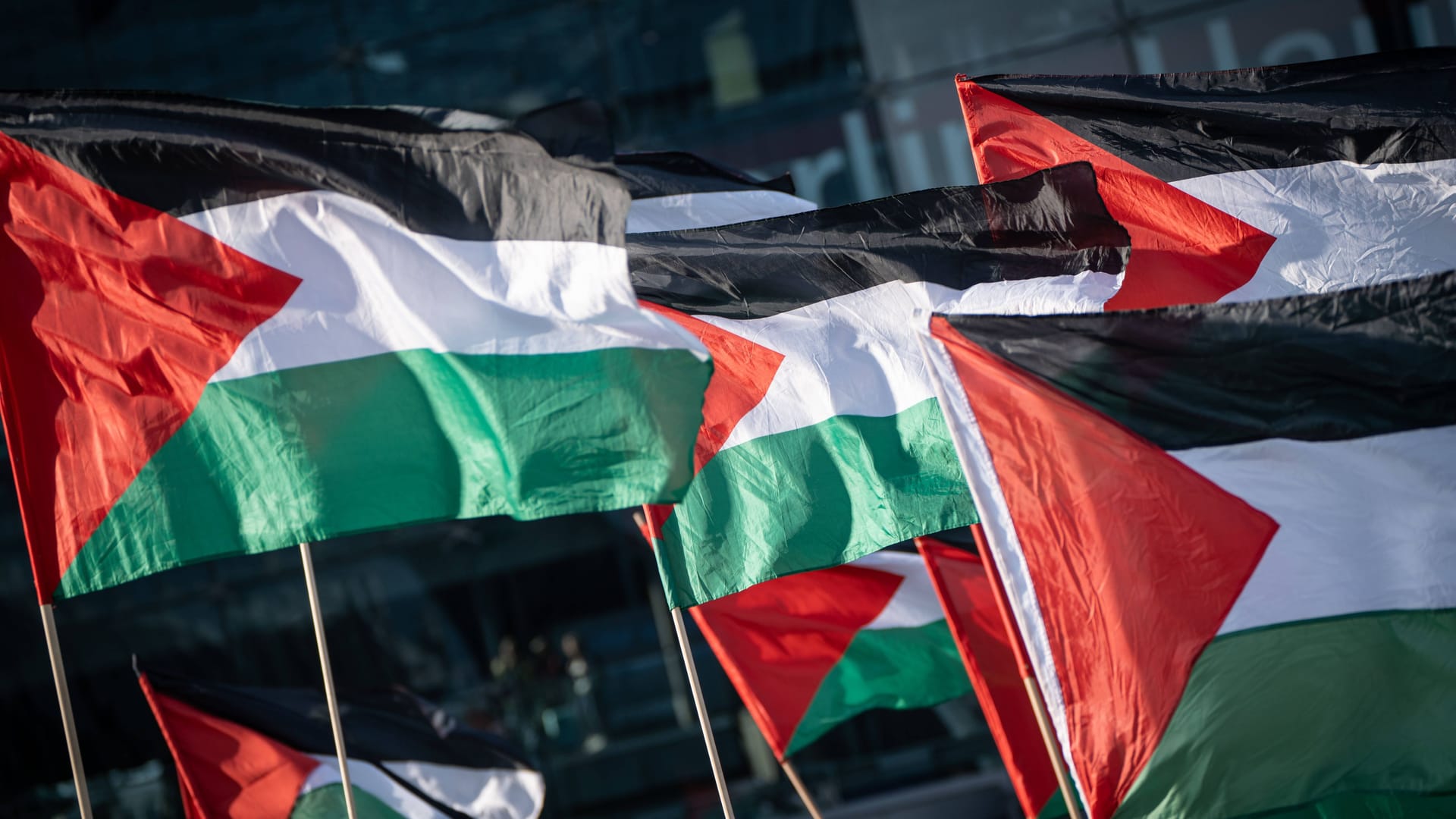 Anti-Israel- und Pro-Palästina-Demonstration mit Flaggen (Symbolbild): Die Aktivistin hatte die Parole auf Demos in Berlin gerufen.