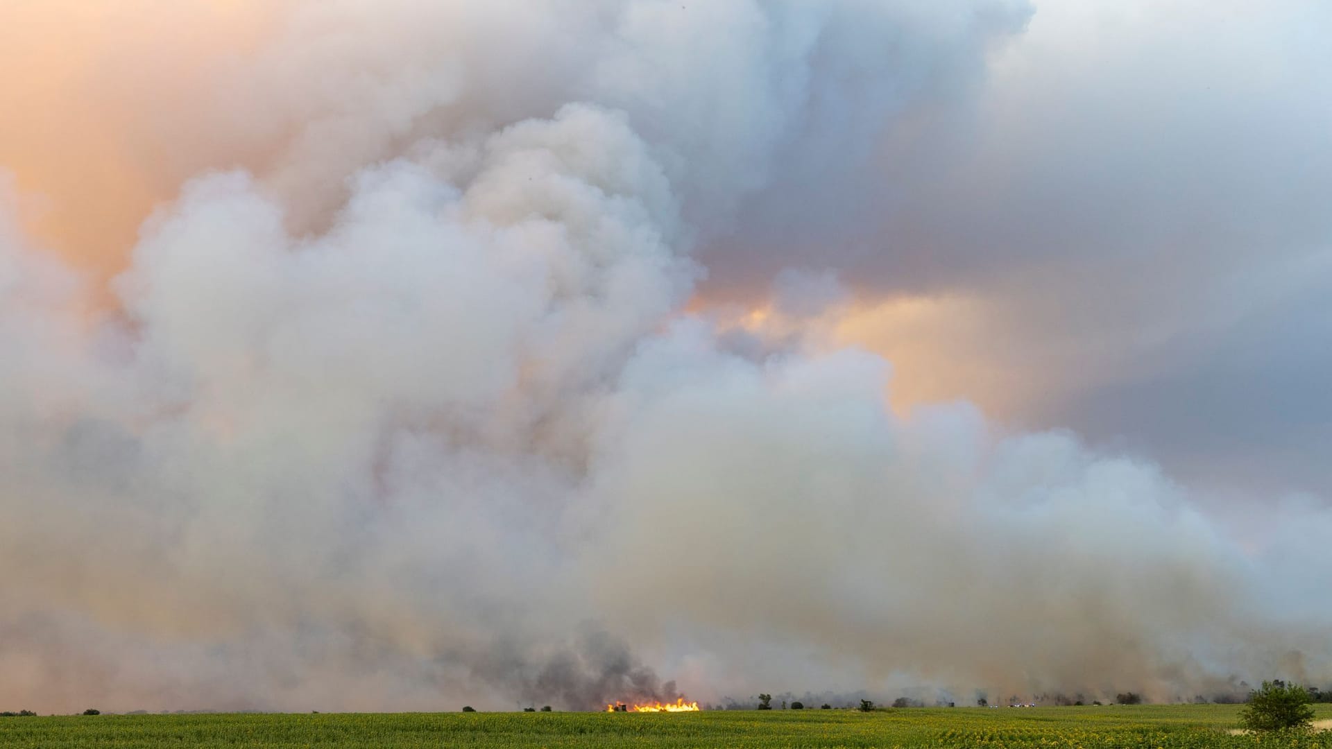 Zeithain in Sachsen: Flammen eines Wald- und Vegetationsbrandes in der Gohrischheide im Landkreis Meißen.