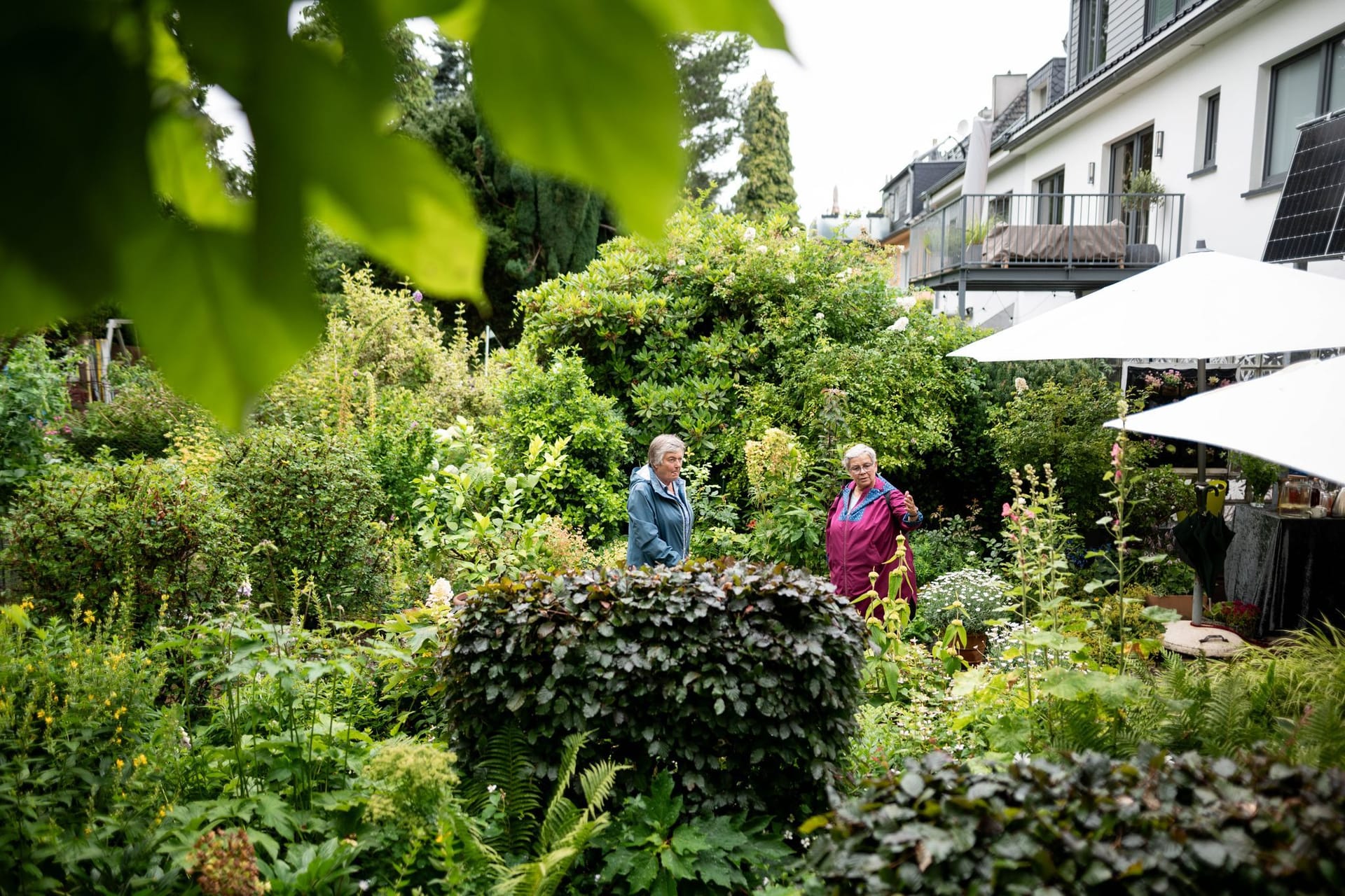 Tag der Offenen Gartenpforte im gesamten Ruhrgebiet