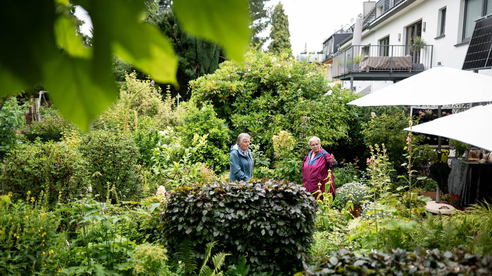 Tag der Offenen Gartenpforte im gesamten Ruhrgebiet