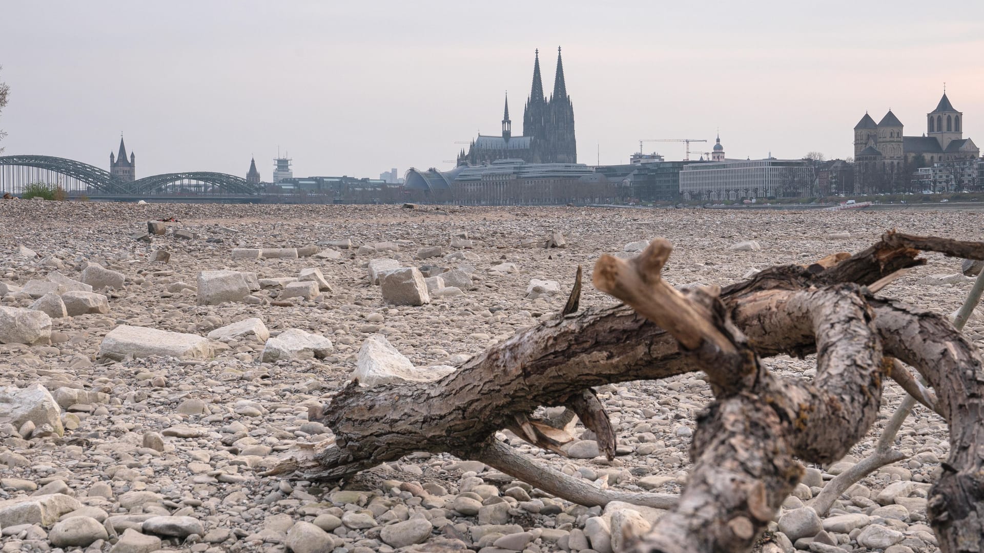 Rhein mit Niedrigwasser (Symbolbild): 1540 suchte eine extreme Dürre Europa heim.