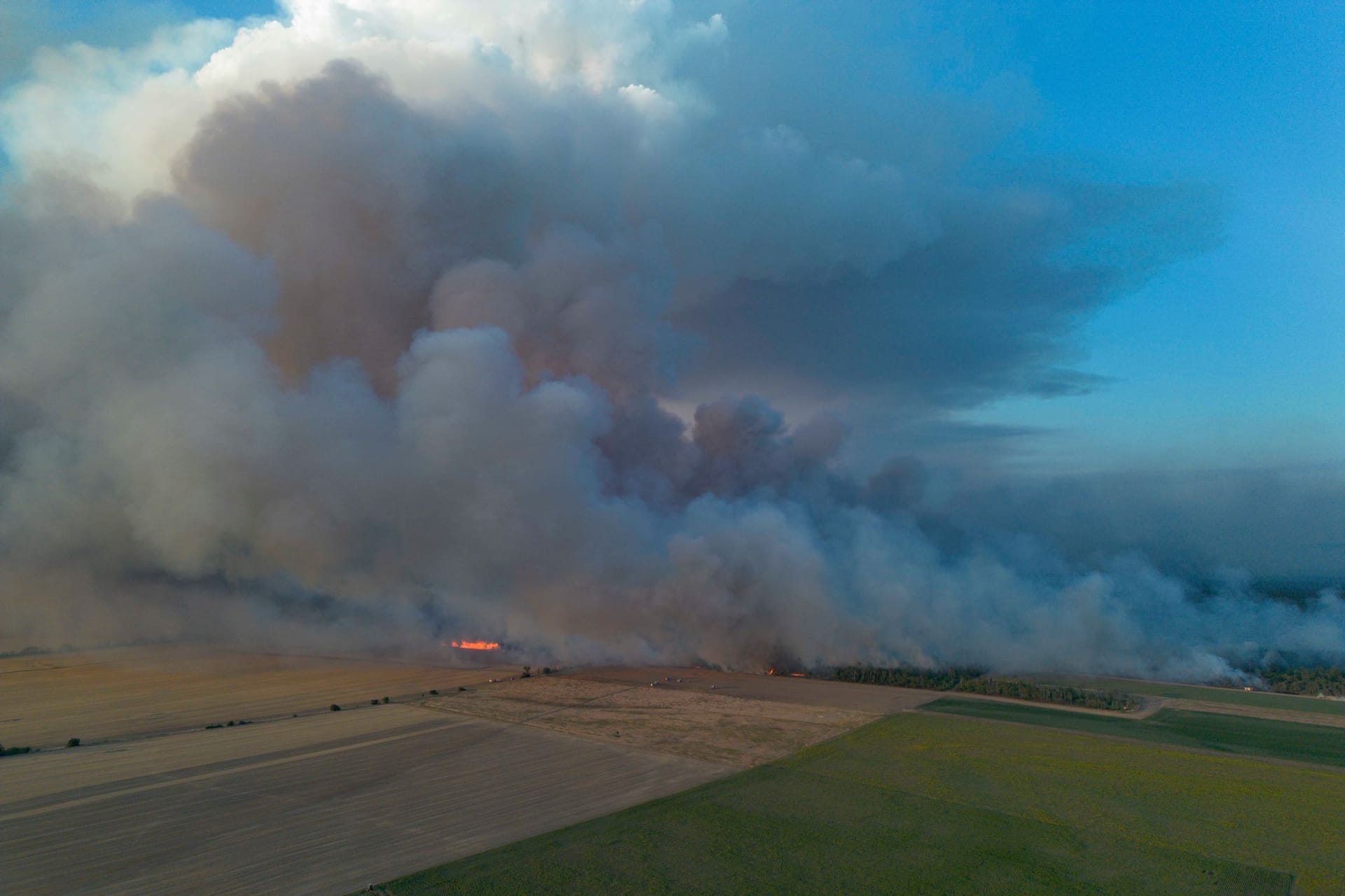 Waldbrand in der Gohrischheide