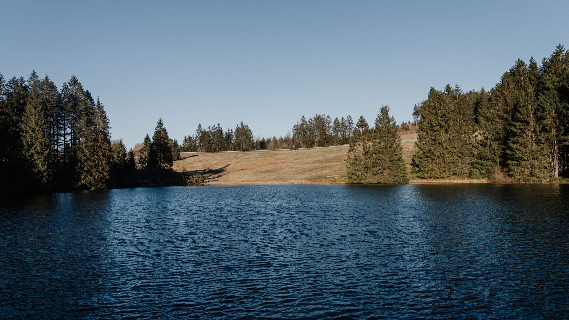 Wildwood Camping im Harz: Der Naturcampingplatz eignet sich für einen Ausflug in den Sommerferien. Wildwood Camping im Harz: Der Naturcampingplatz eignet sich für einen Ausflug in den Sommerferien.