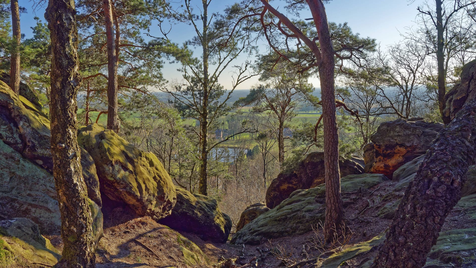 Die Dörenther Klippen befinden sich im Geopark Terra-Vita im Teutoburger Wald.