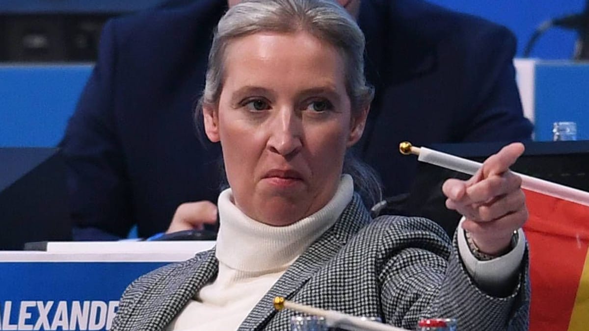 AfD: Sie kämpfen mit harten Bandagen gegeneinander