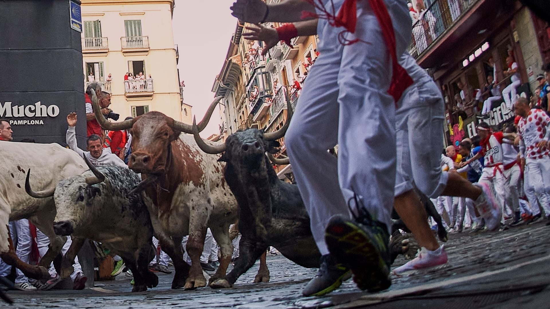 Stierlauf in Pamplona