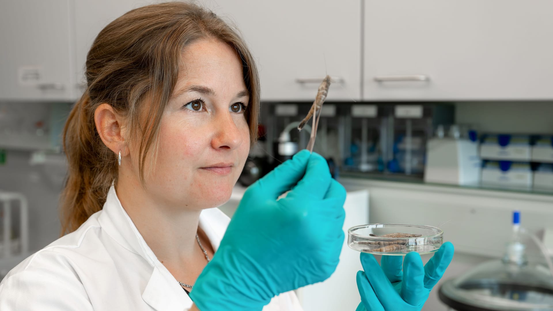Dr. Kim Lara Hünerlage: Sie forscht am Thünen-Institut für Seefischerei in Bremerhaven zur Entwicklung der Nordseekrabbenbestände.