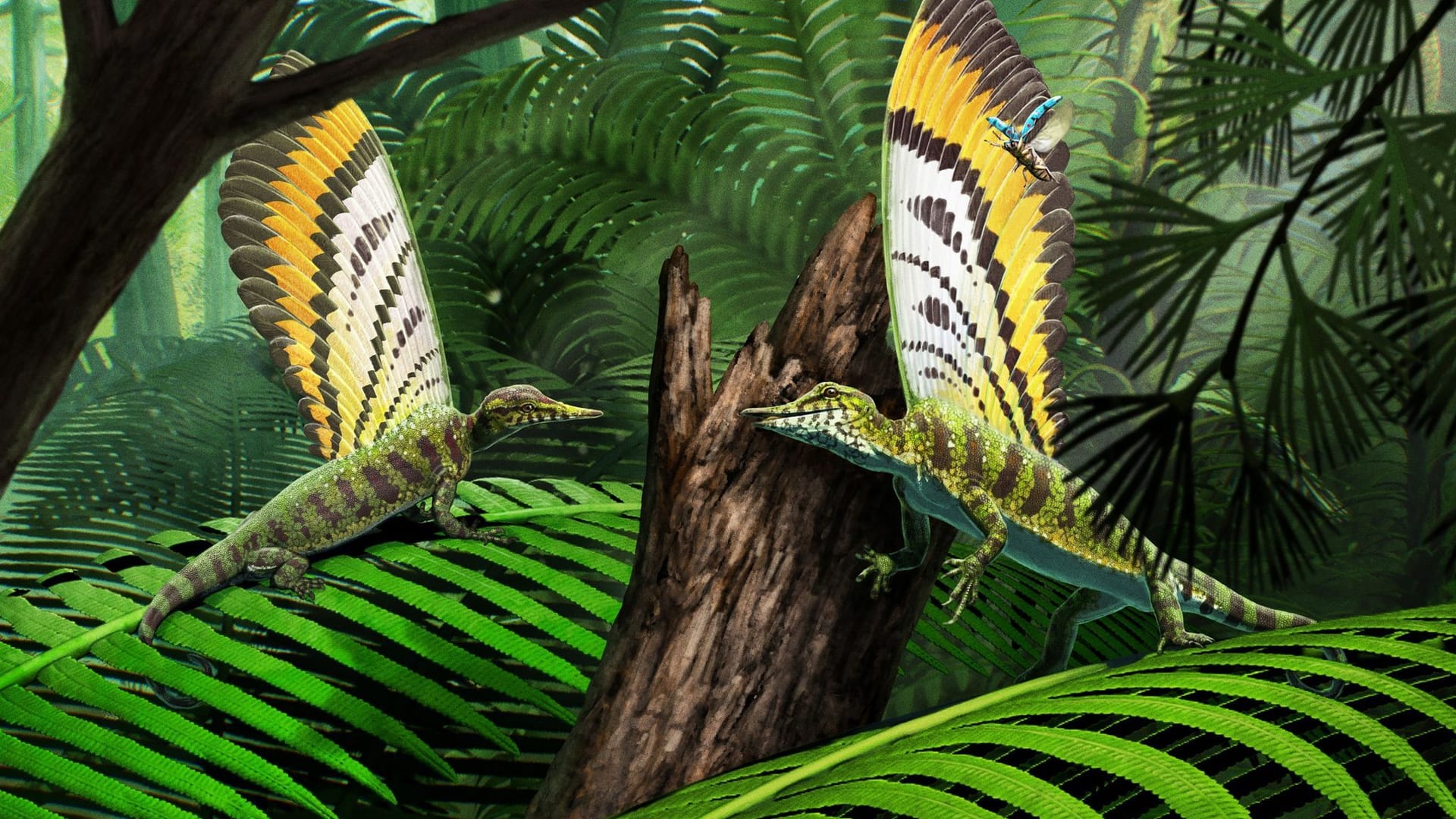 Hautauswüchse bei Ur-Reptil Hautauswüchse bei Ur-Reptil