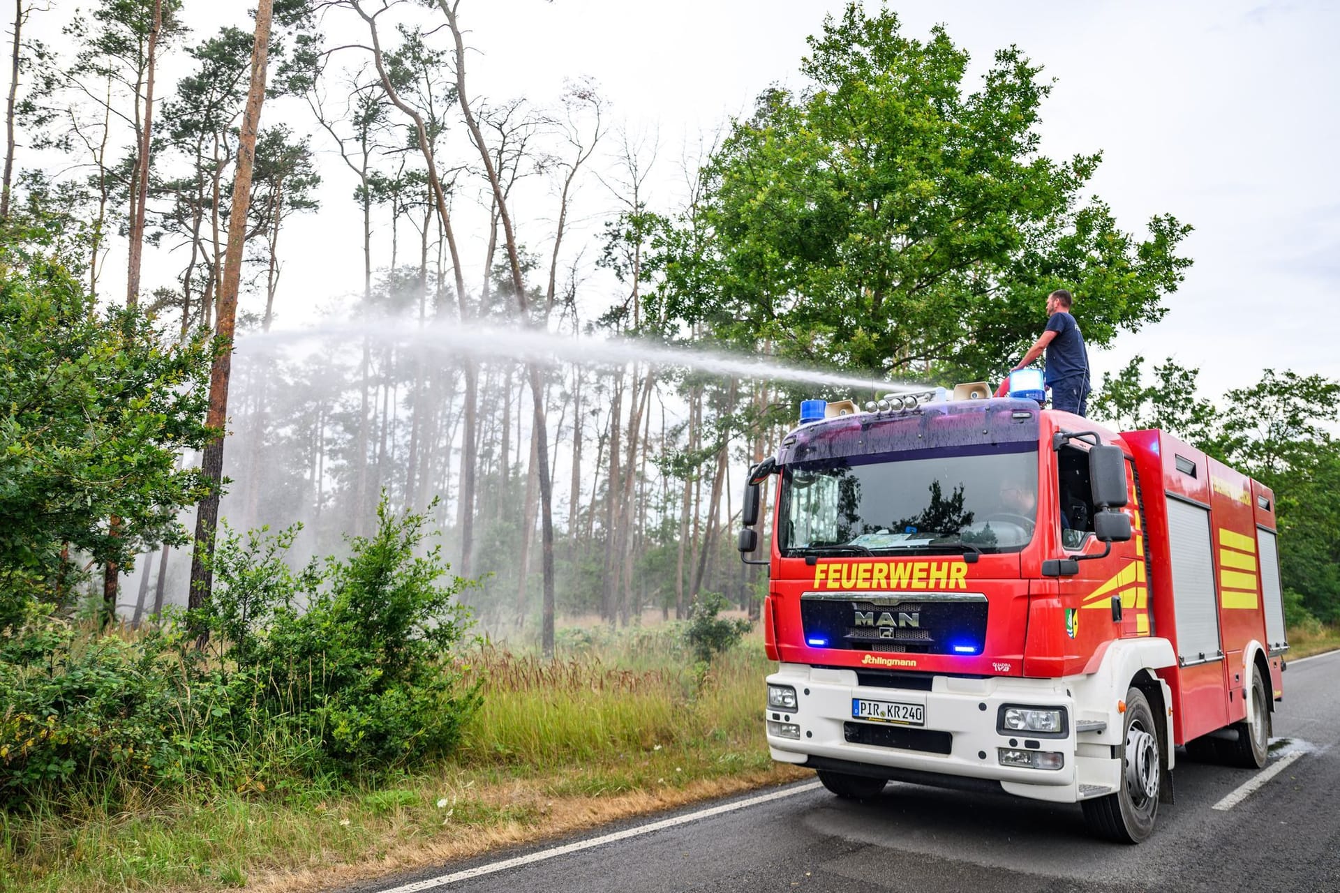 Waldbrand in der Gohrischheide