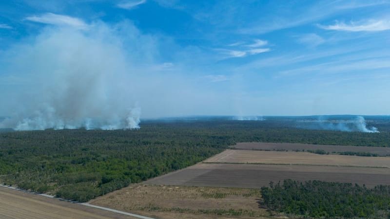 Drohnen-Aufnahme: Das Waldgebiet Gohrischheide zwischen Sachsen und Brandenburg brennt seit mehreren Tagen.