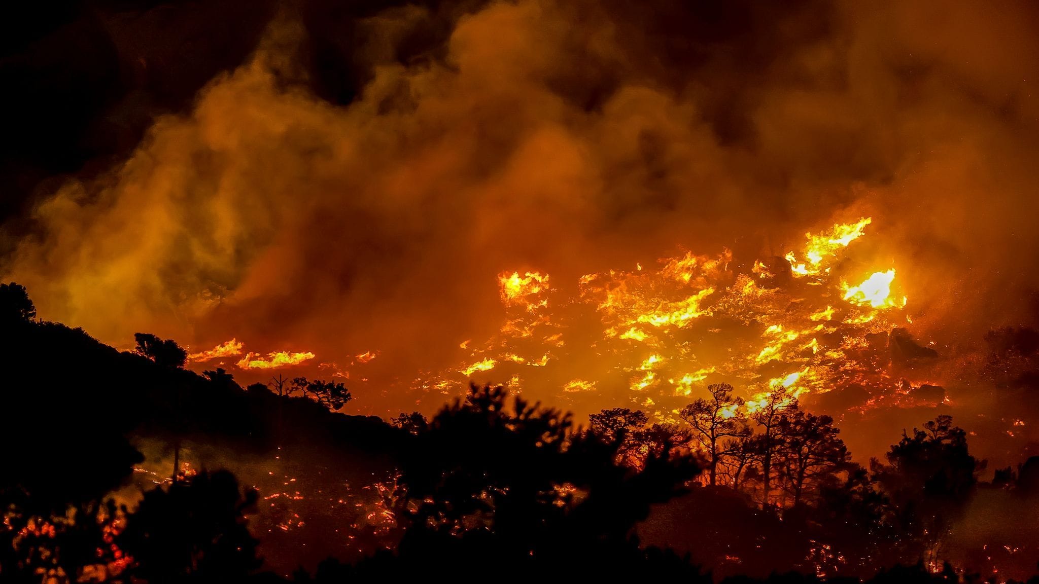 Ein Feuer brennt in der Gegend von Ahlia in der Nähe der Hafenstadt Ierapetra an der Südküste der Insel Kreta: Die Hitzewelle dauert an.