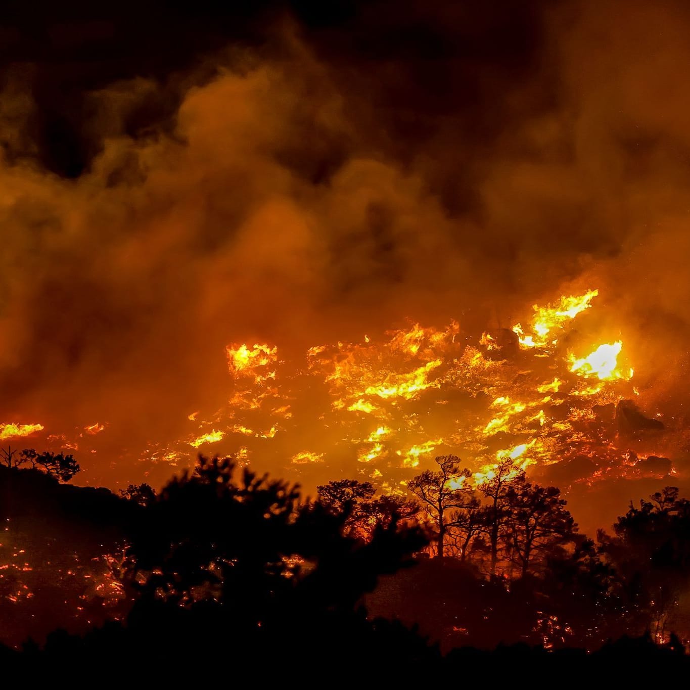 Ein Feuer brennt in der Gegend von Ahlia in der Nähe der Hafenstadt Ierapetra an der Südküste der Insel Kreta: Die Hitzewelle dauert an.