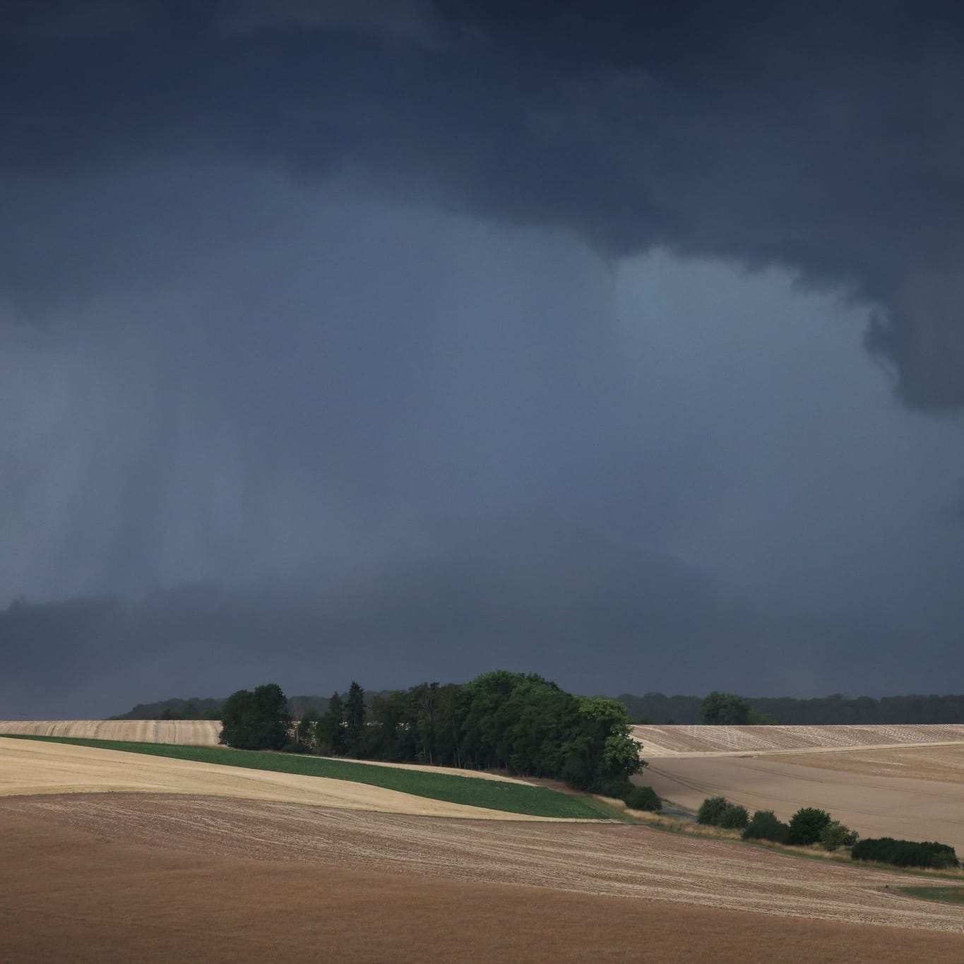 Gewitterwolken über Getreidefeldern