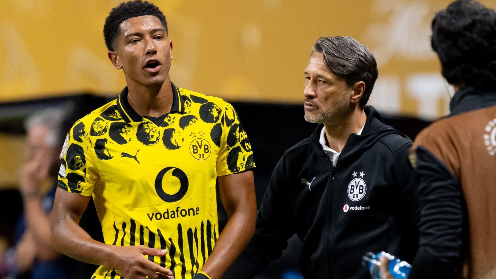 Borussia Dortmund - CF Monterrey
