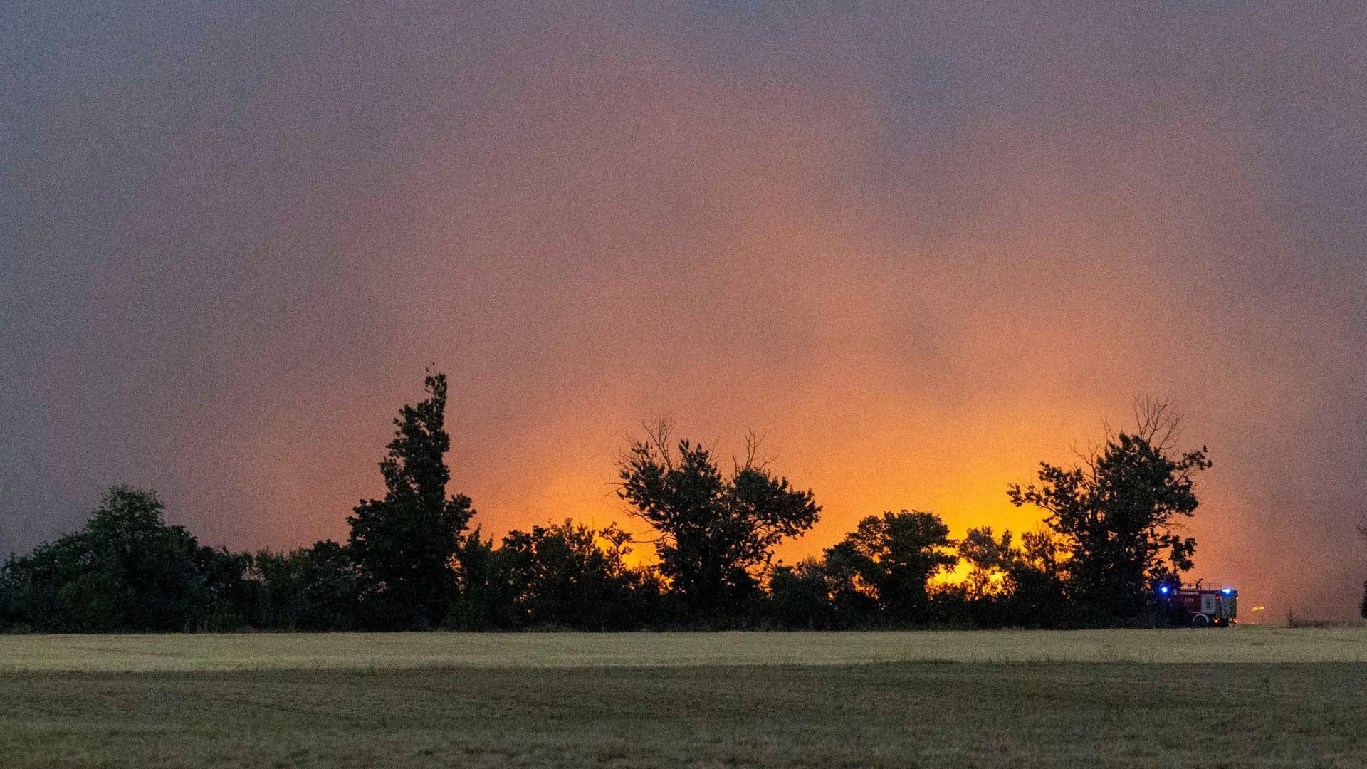 Flammen eines Wald- und Vegetationsbrandes in der Gohrischheide sind über weite Entfernung zu sehen.