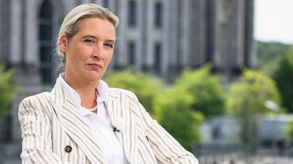 ARD-Sommerinterview: AfD fordert Wiederholung von Weidel-Interview